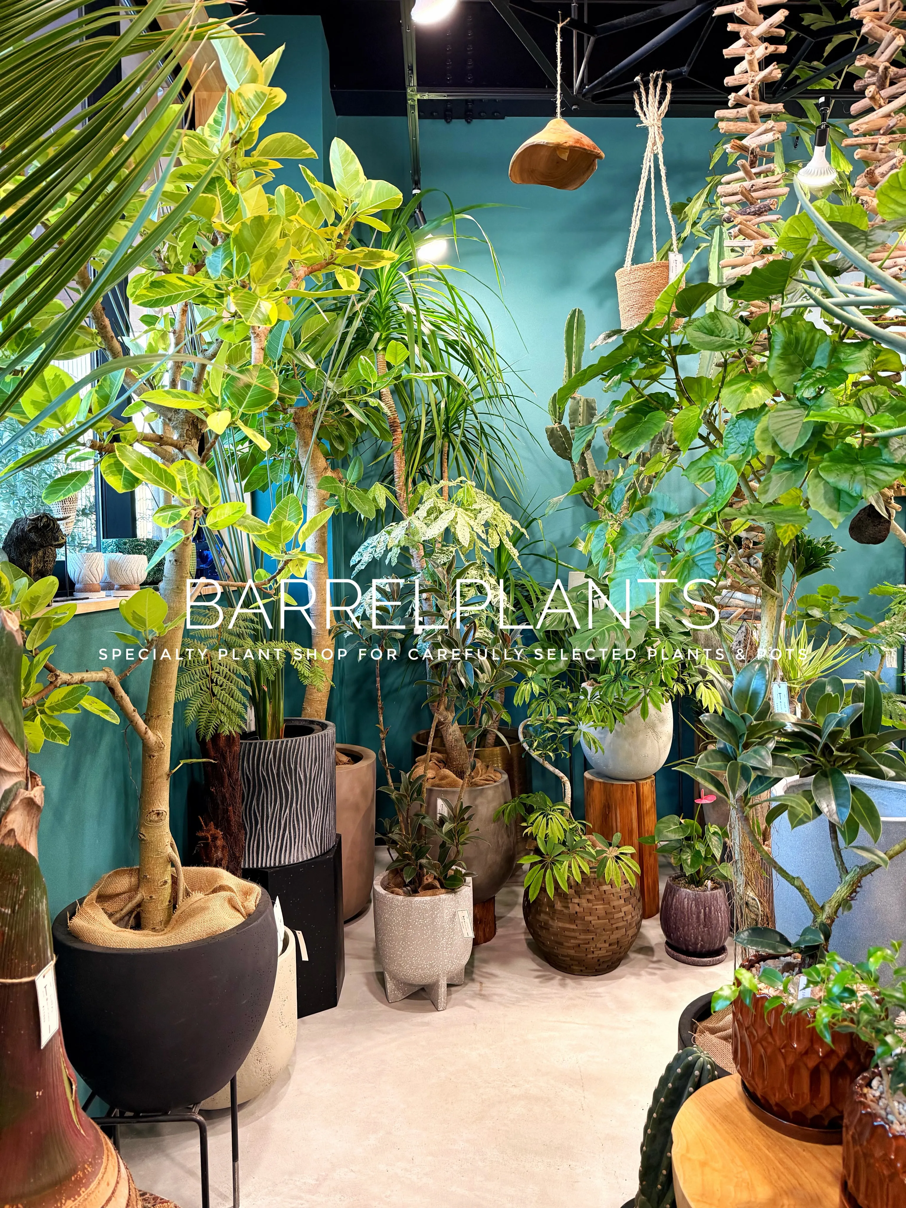 【植物に囲まれる、ちょっと特別な空間へ。