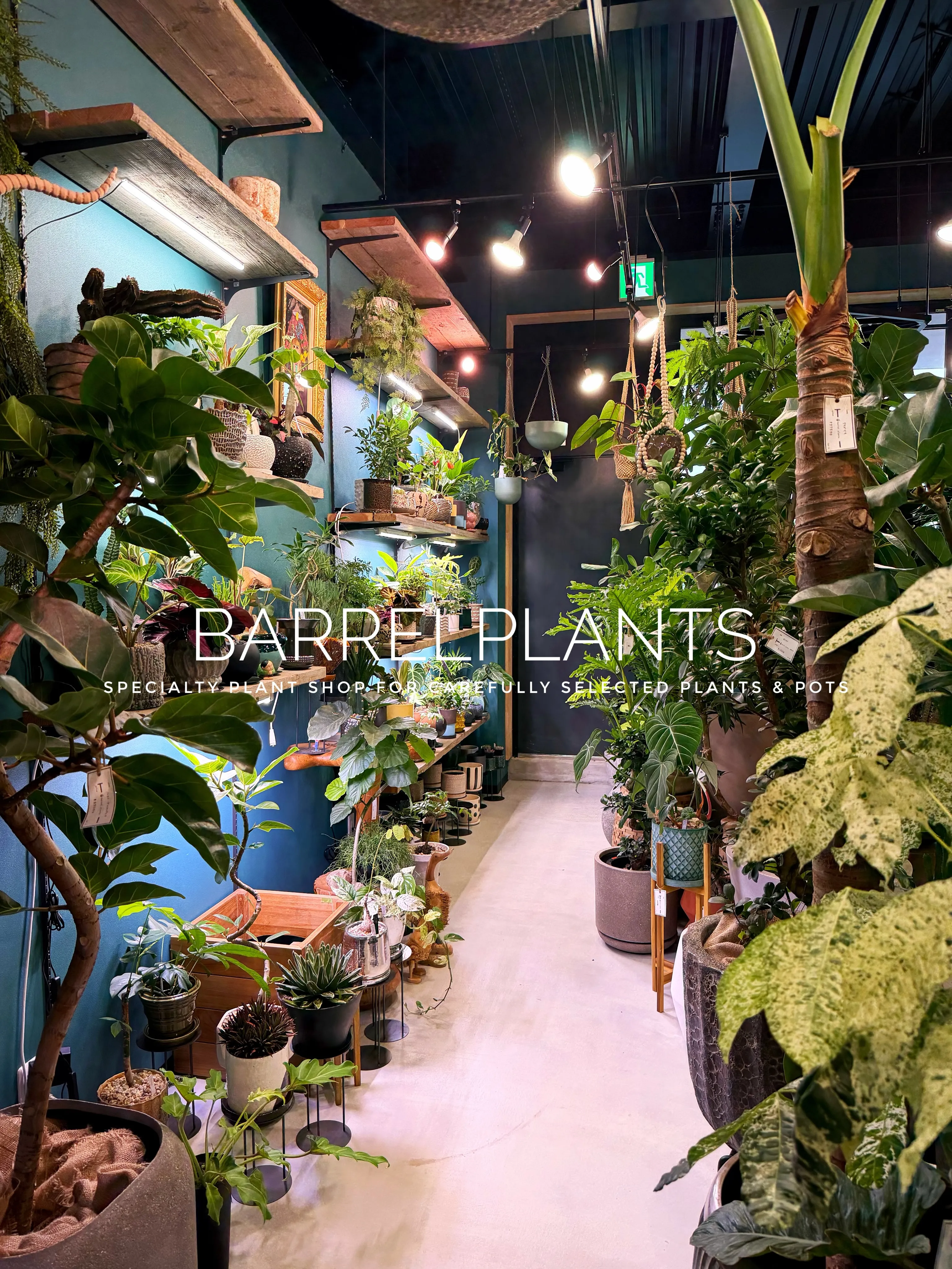 【植物に囲まれる、ちょっと特別な空間へ。