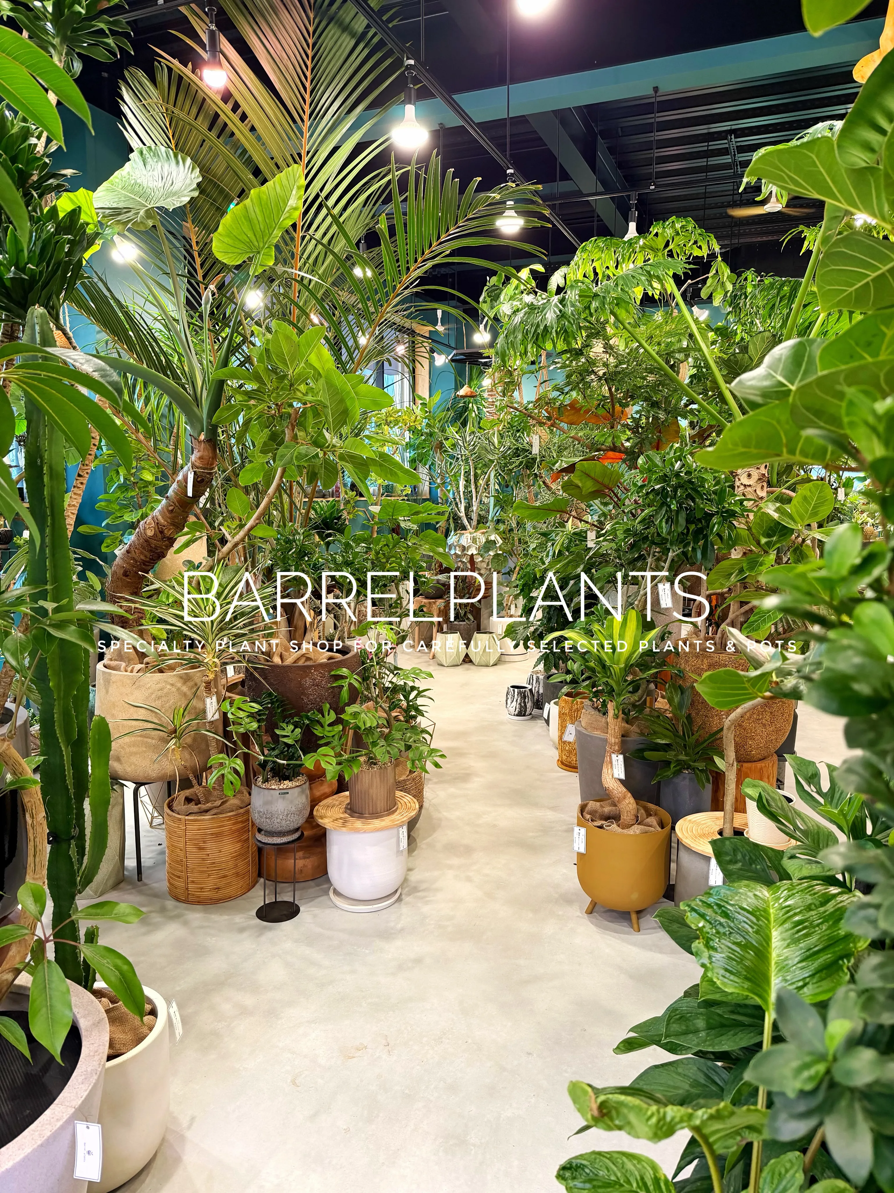 【植物に囲まれる、ちょっと特別な空間へ。