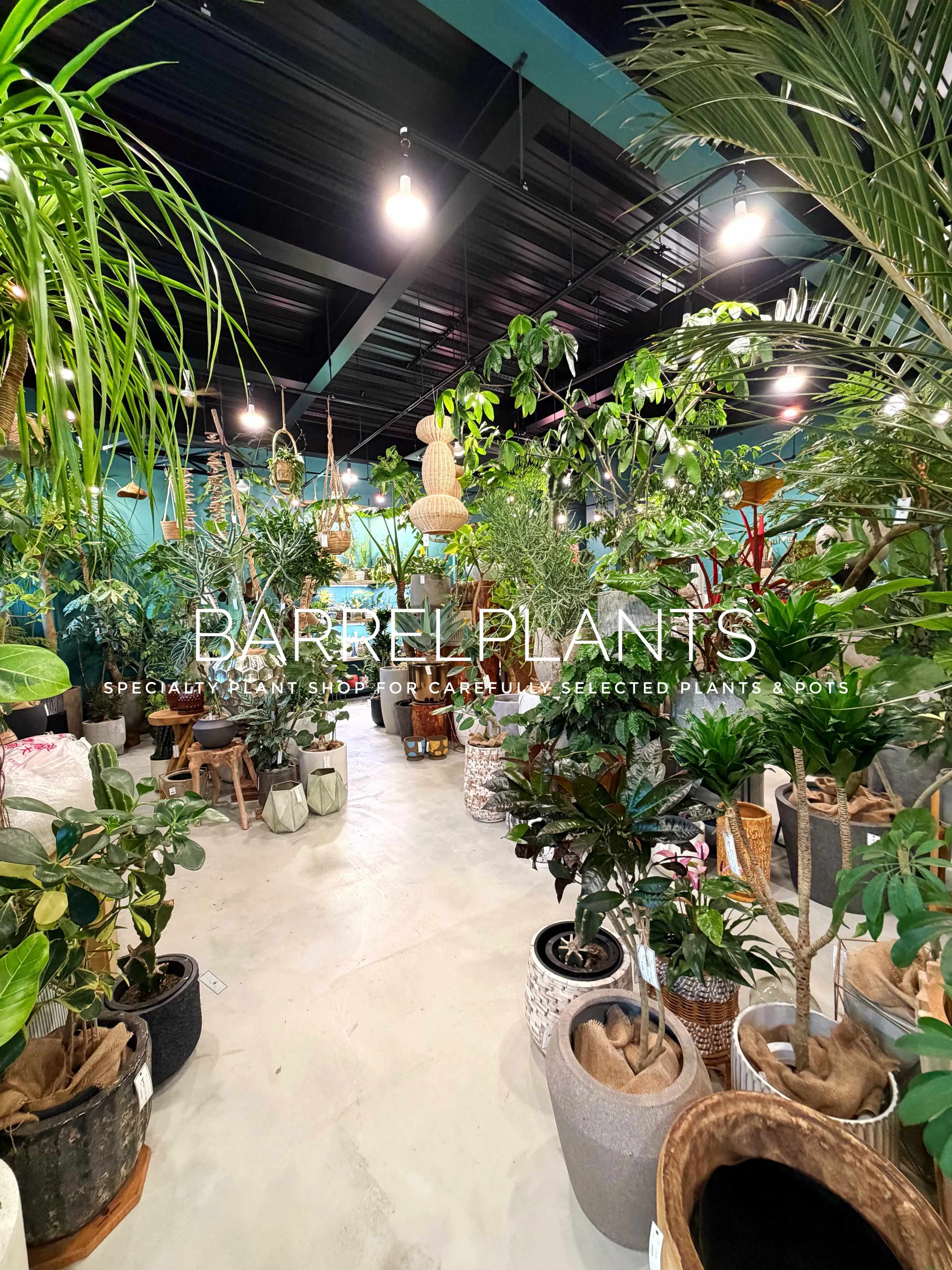 【植物に囲まれる、ちょっと特別な空間へ。