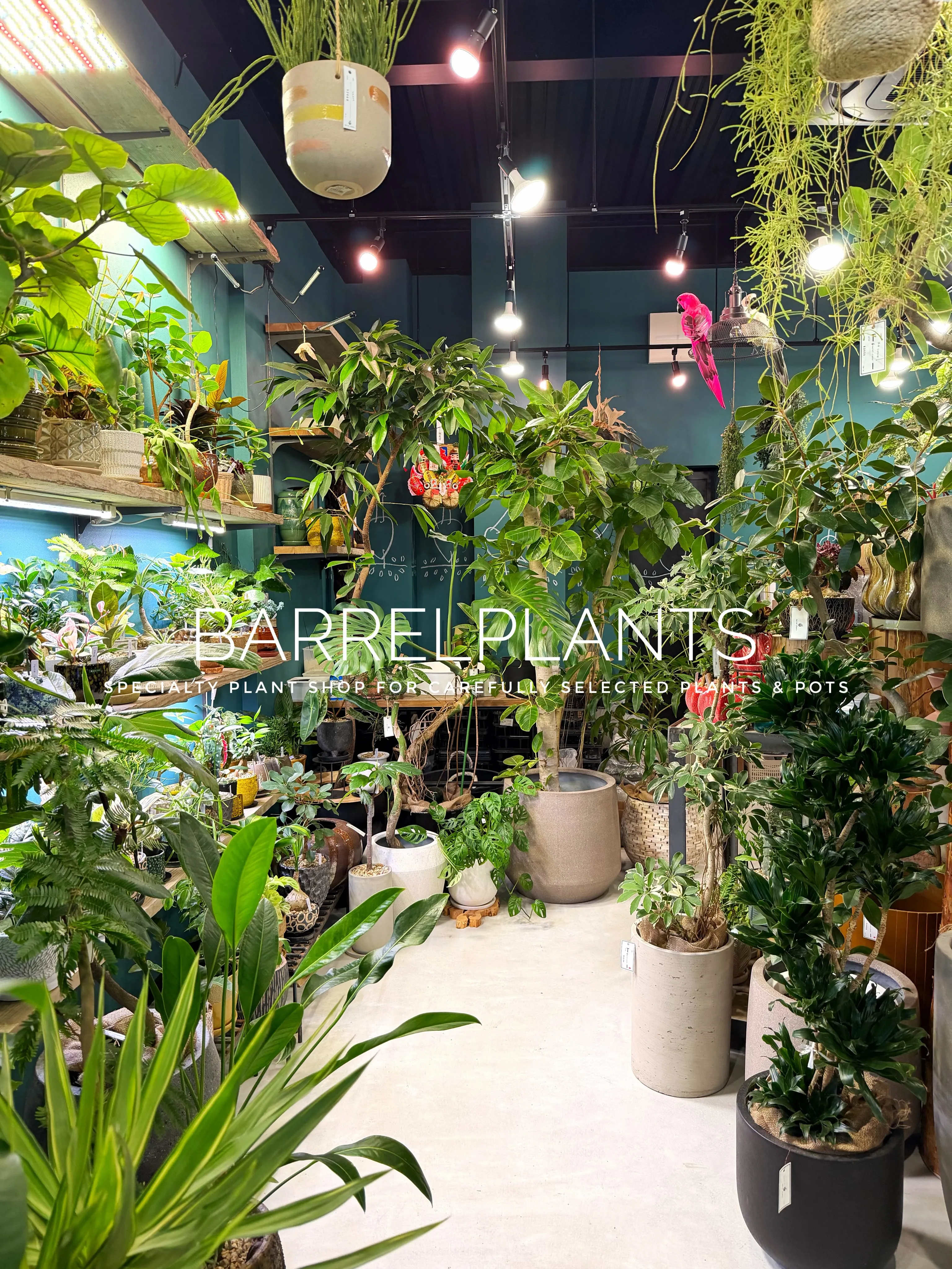 【植物に囲まれる、ちょっと特別な空間へ。