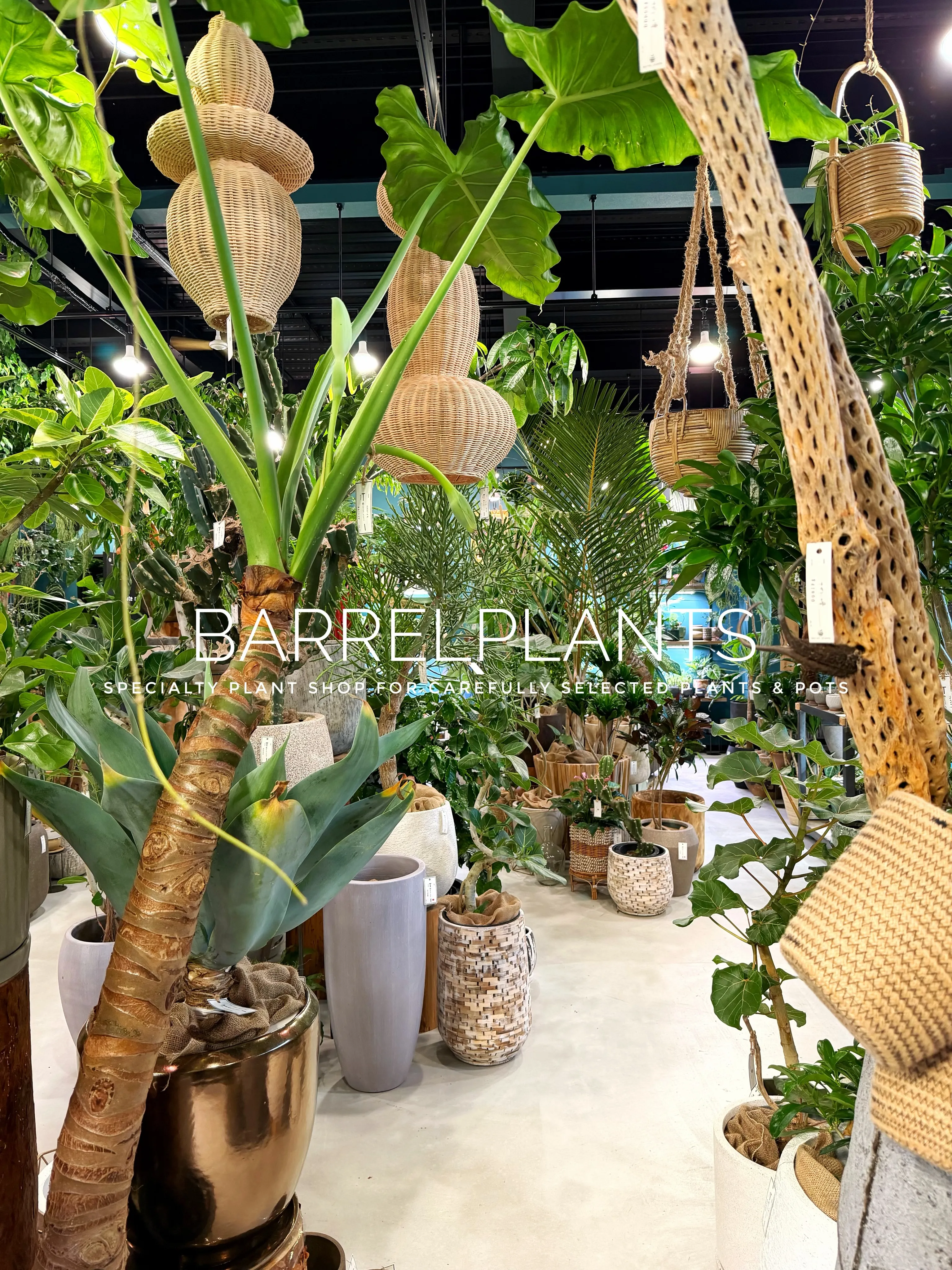 【植物に囲まれる、ちょっと特別な空間へ。