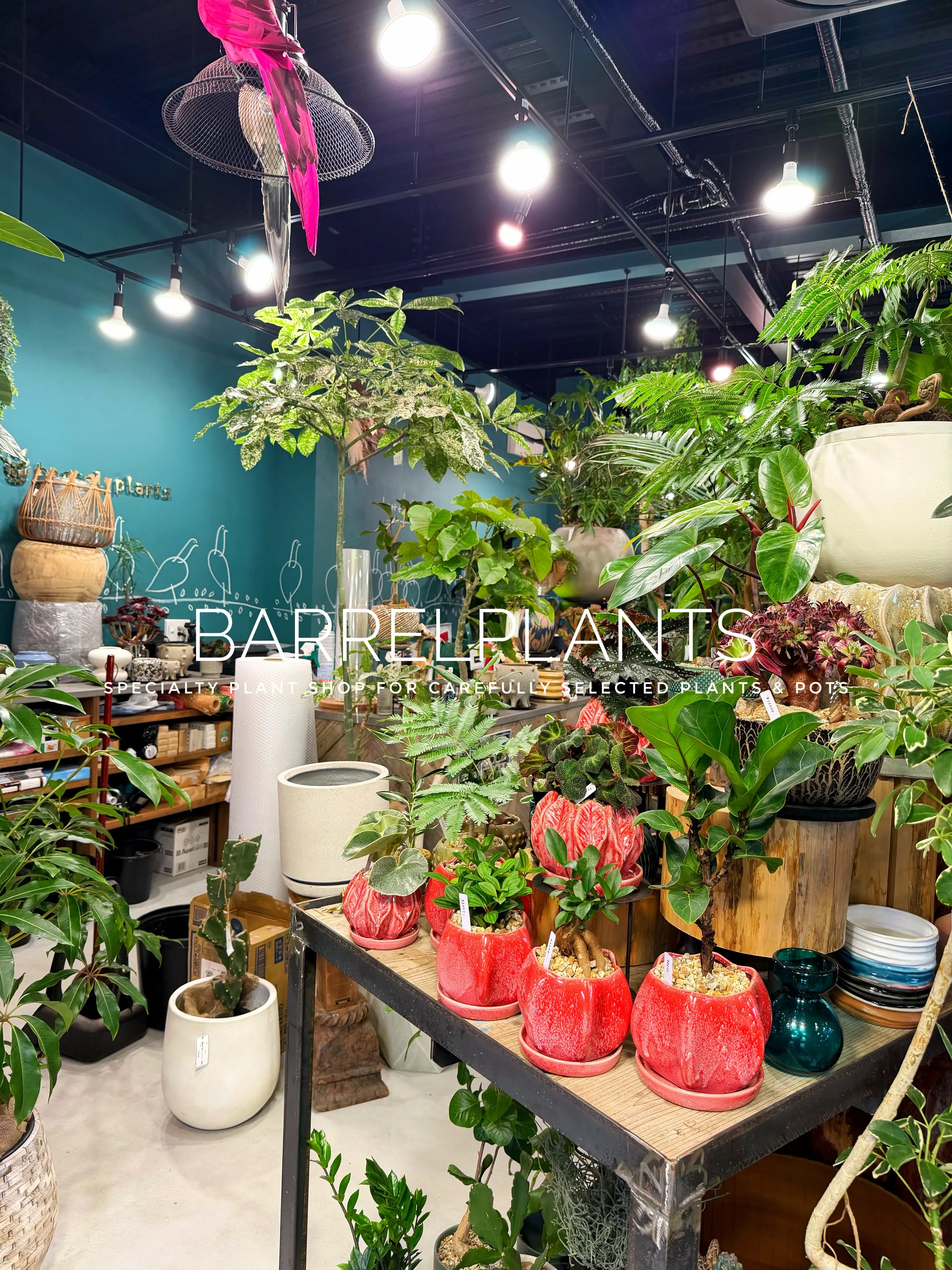 【植物に囲まれる、ちょっと特別な空間へ。