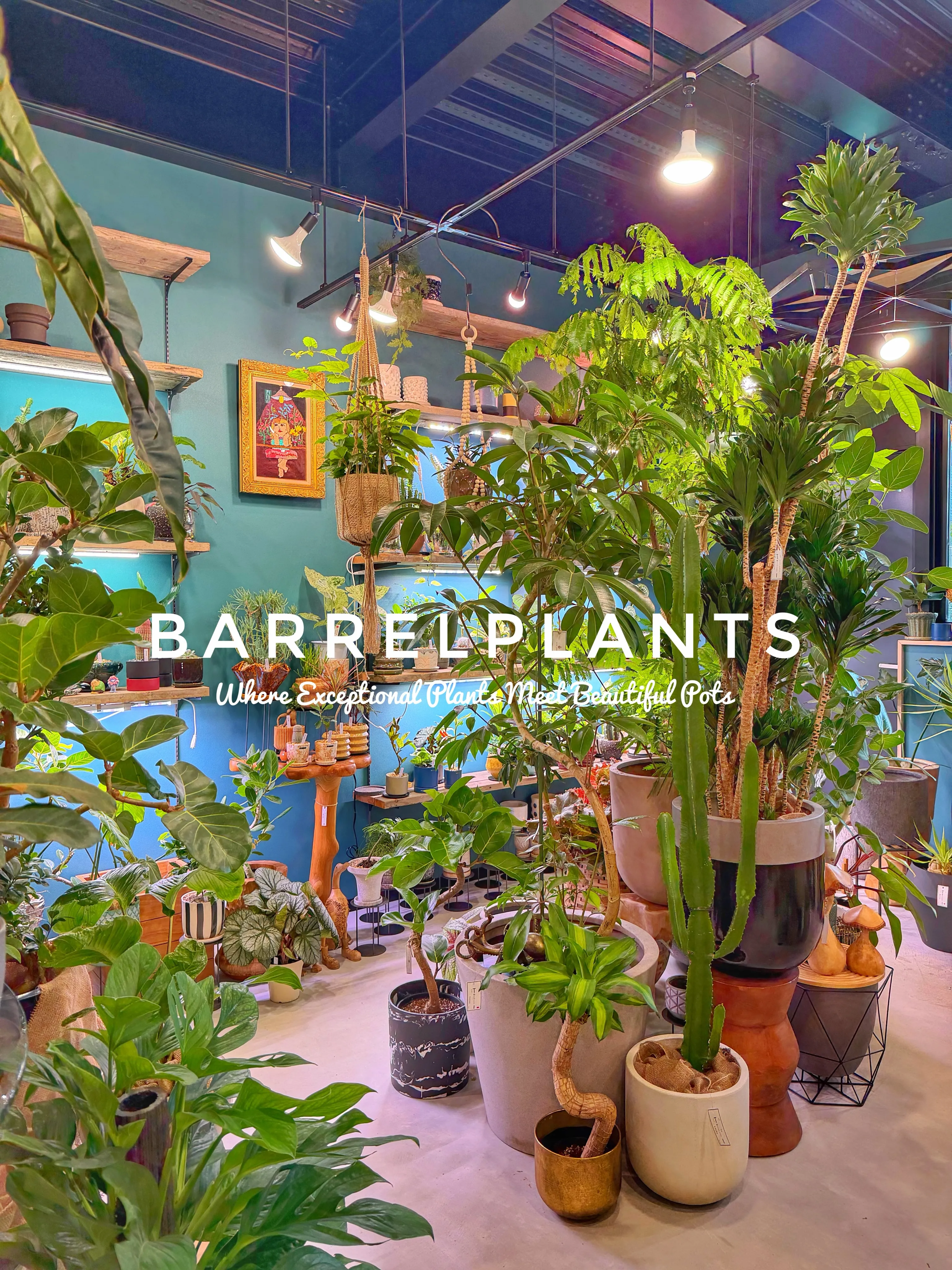 植物があるだけで、空間はここまで変わる。
