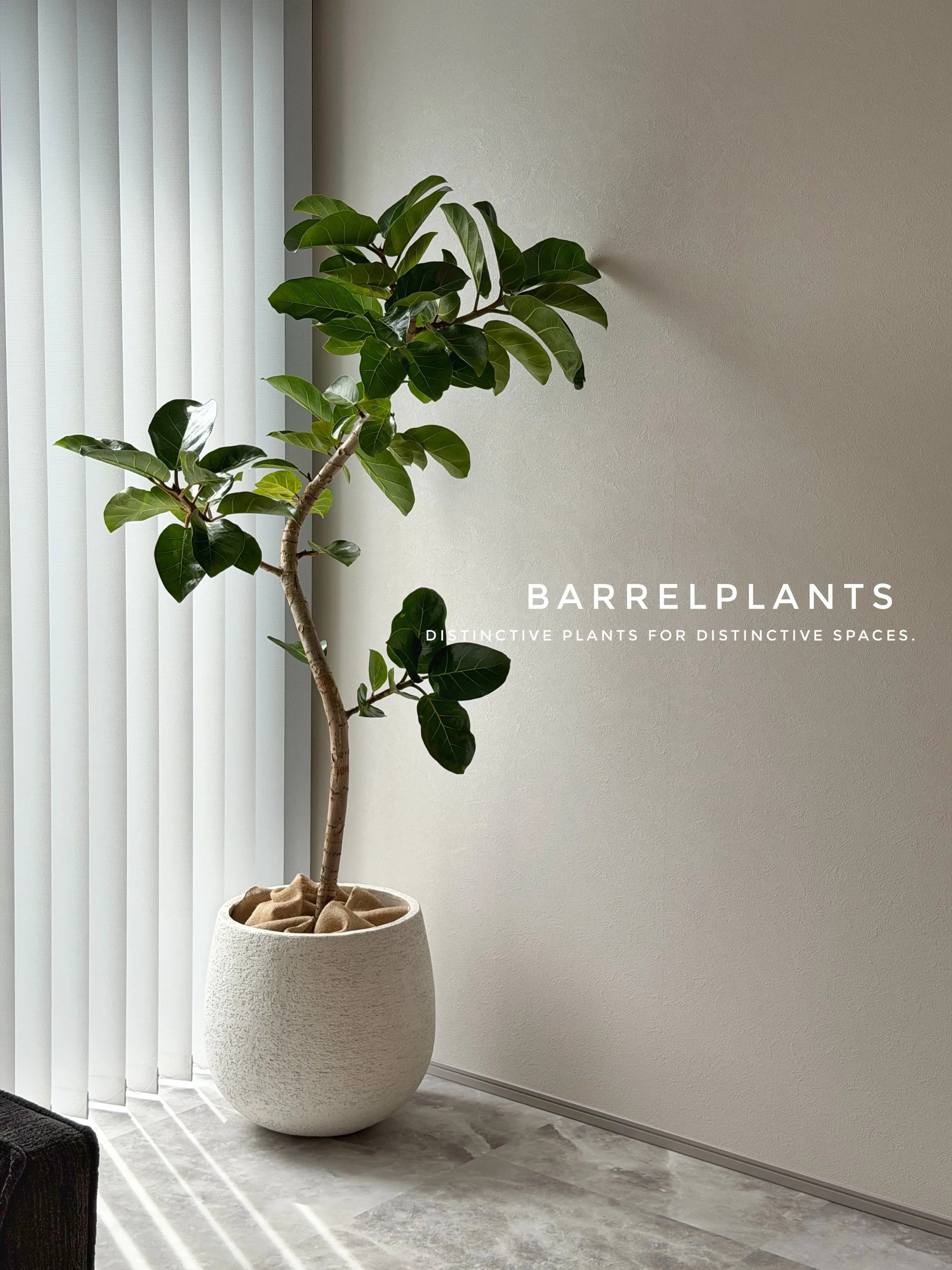 植物ひとつで、空間はもっと完成する。