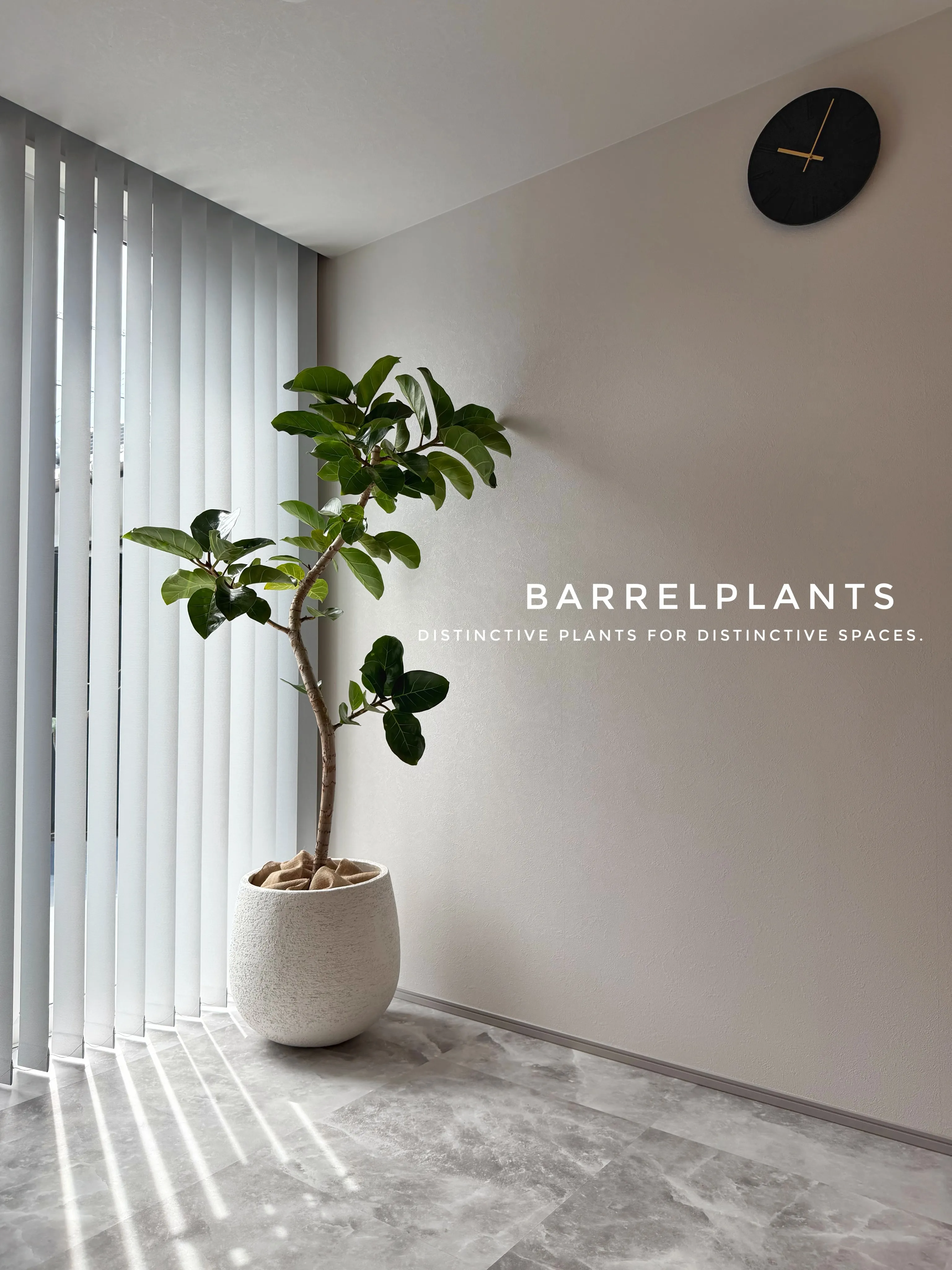 植物ひとつで、空間はもっと完成する。