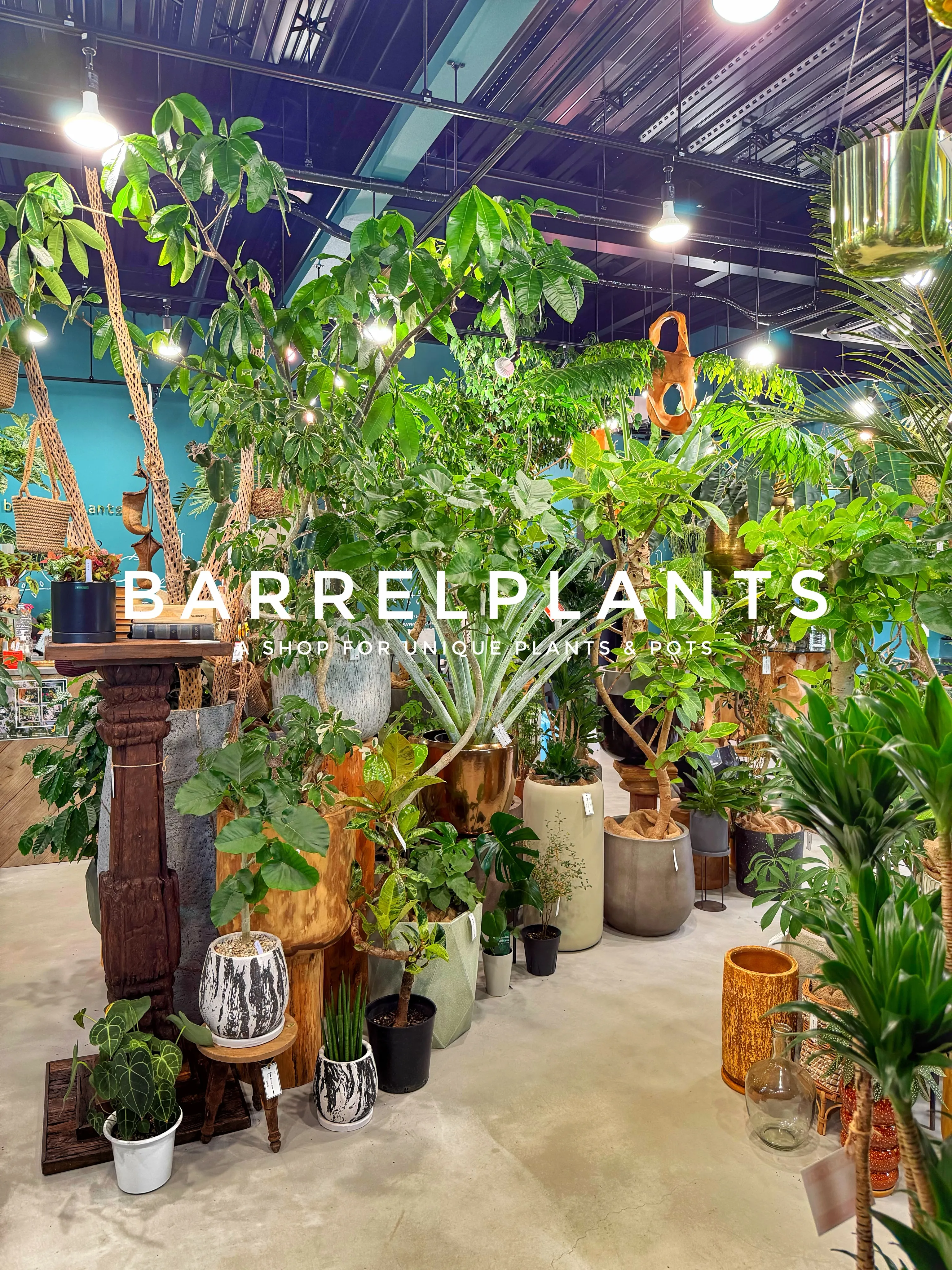 お盆前、店内パンパンです。