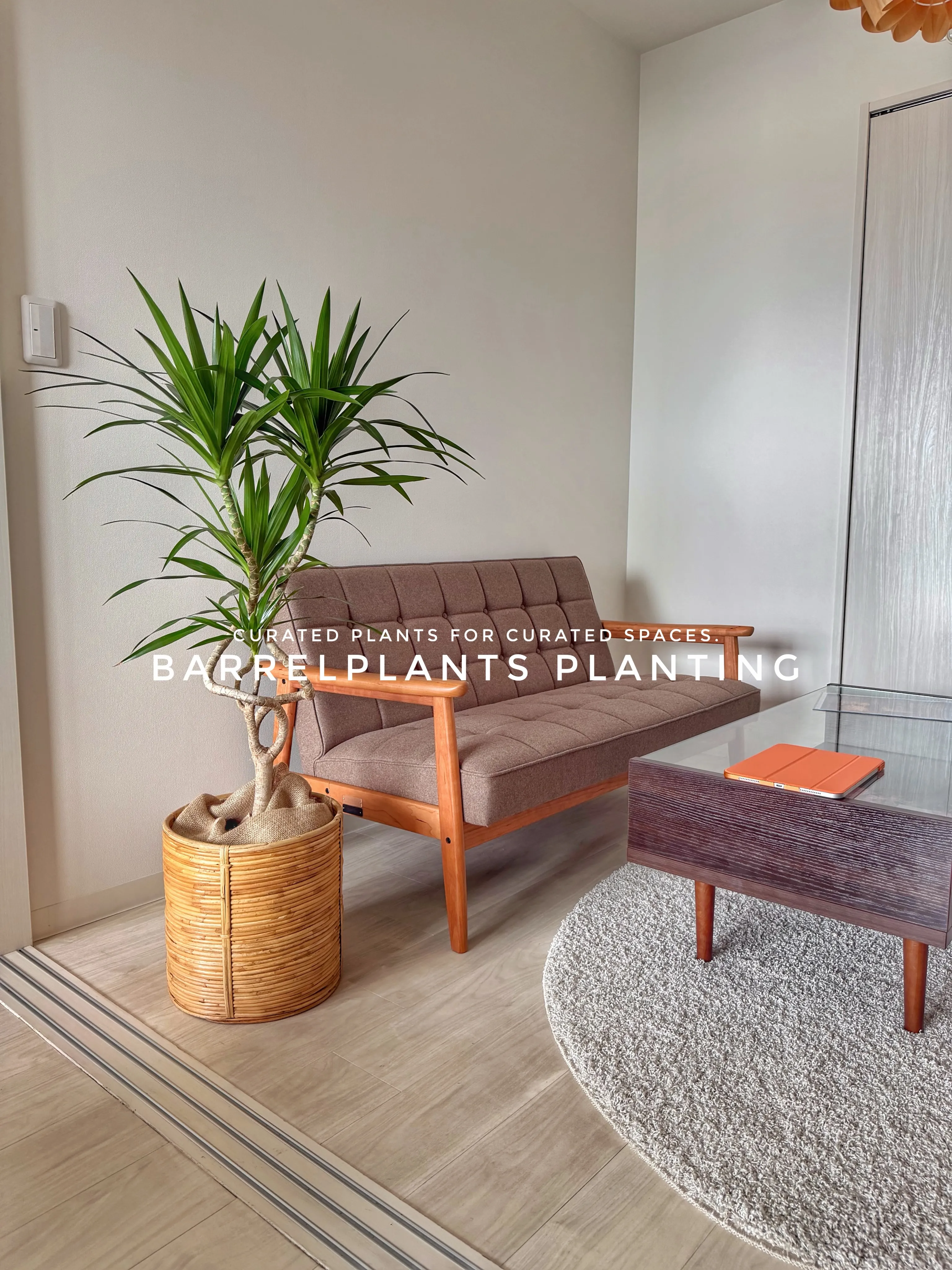 植物が、その家の景色になる。