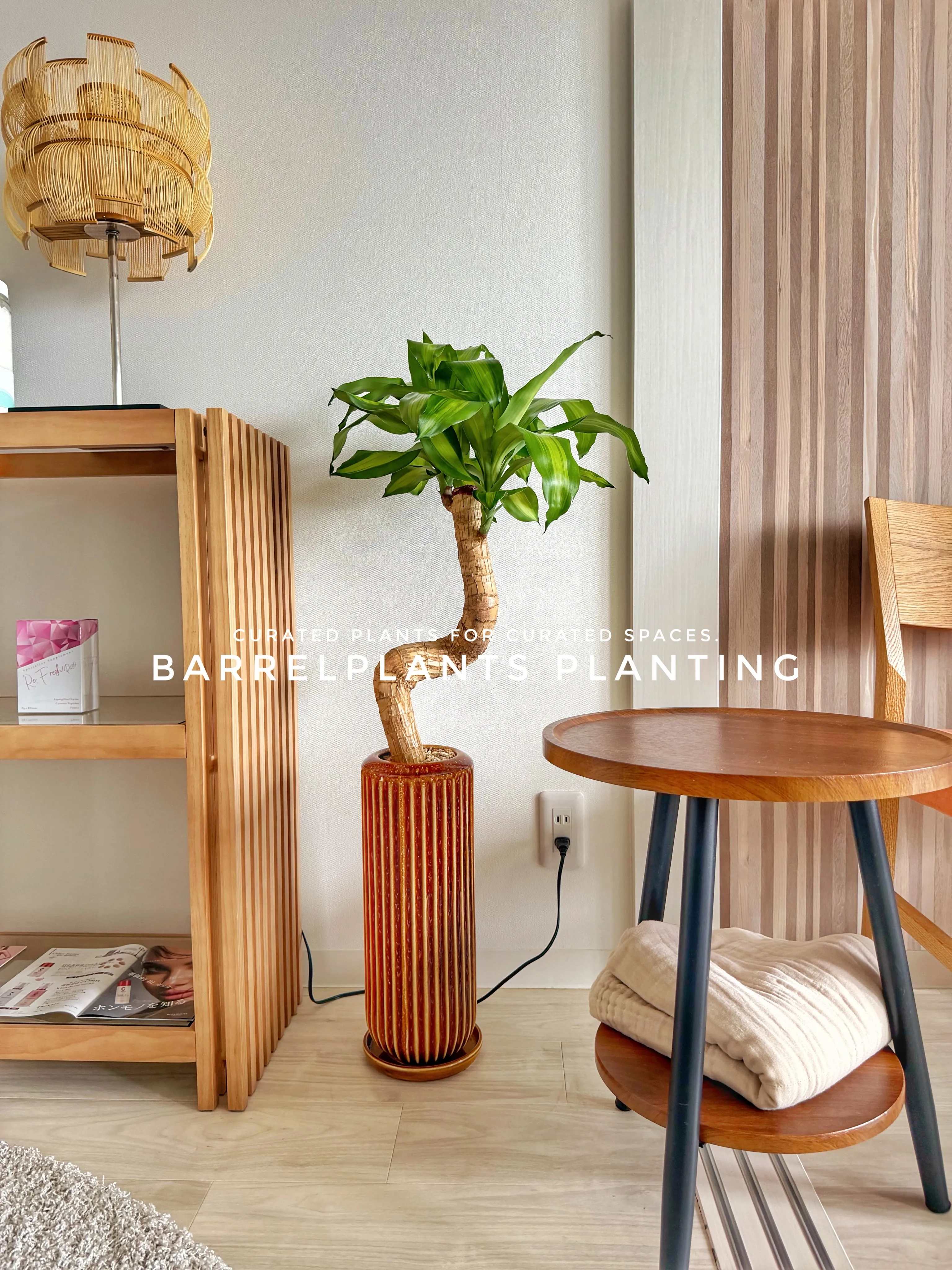植物が、その家の景色になる。