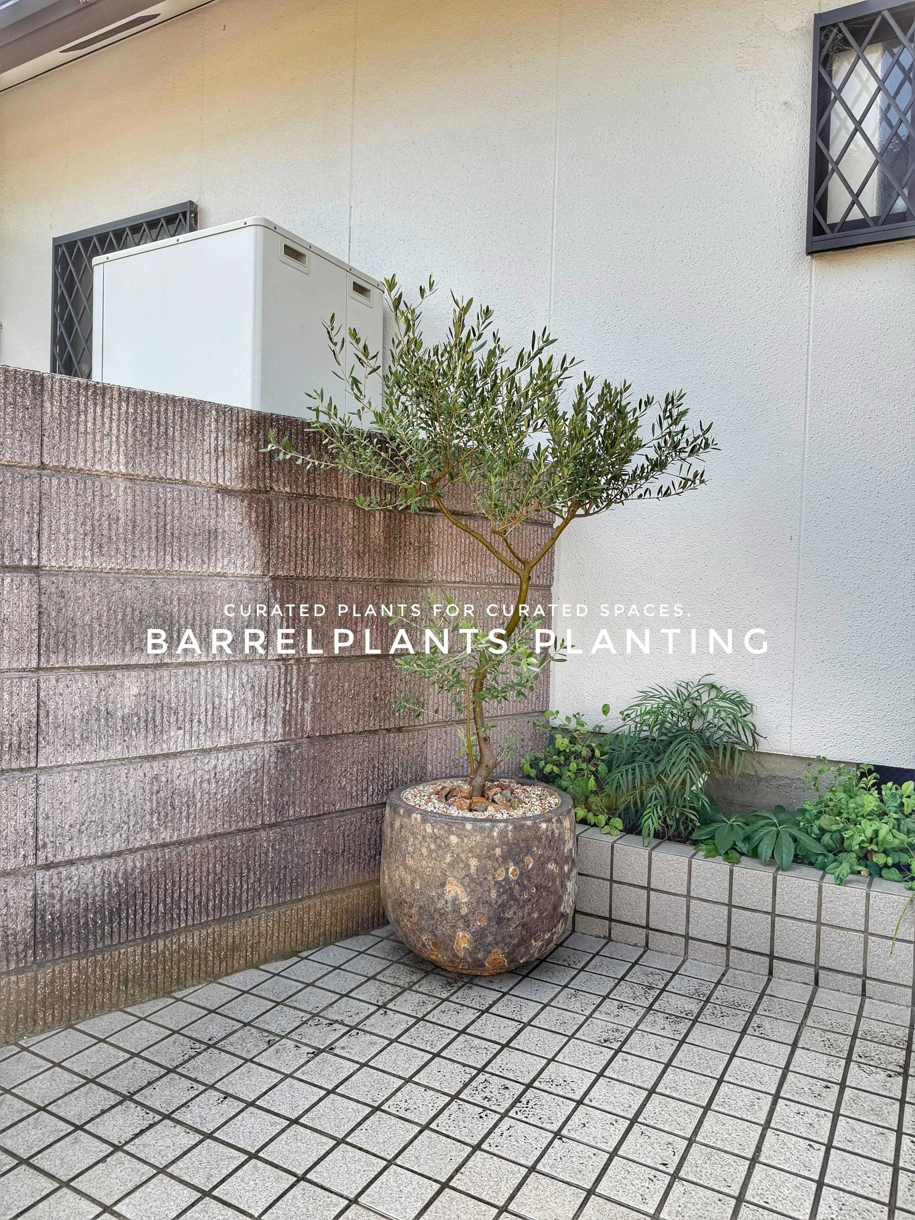 植物が、その家の景色になる。