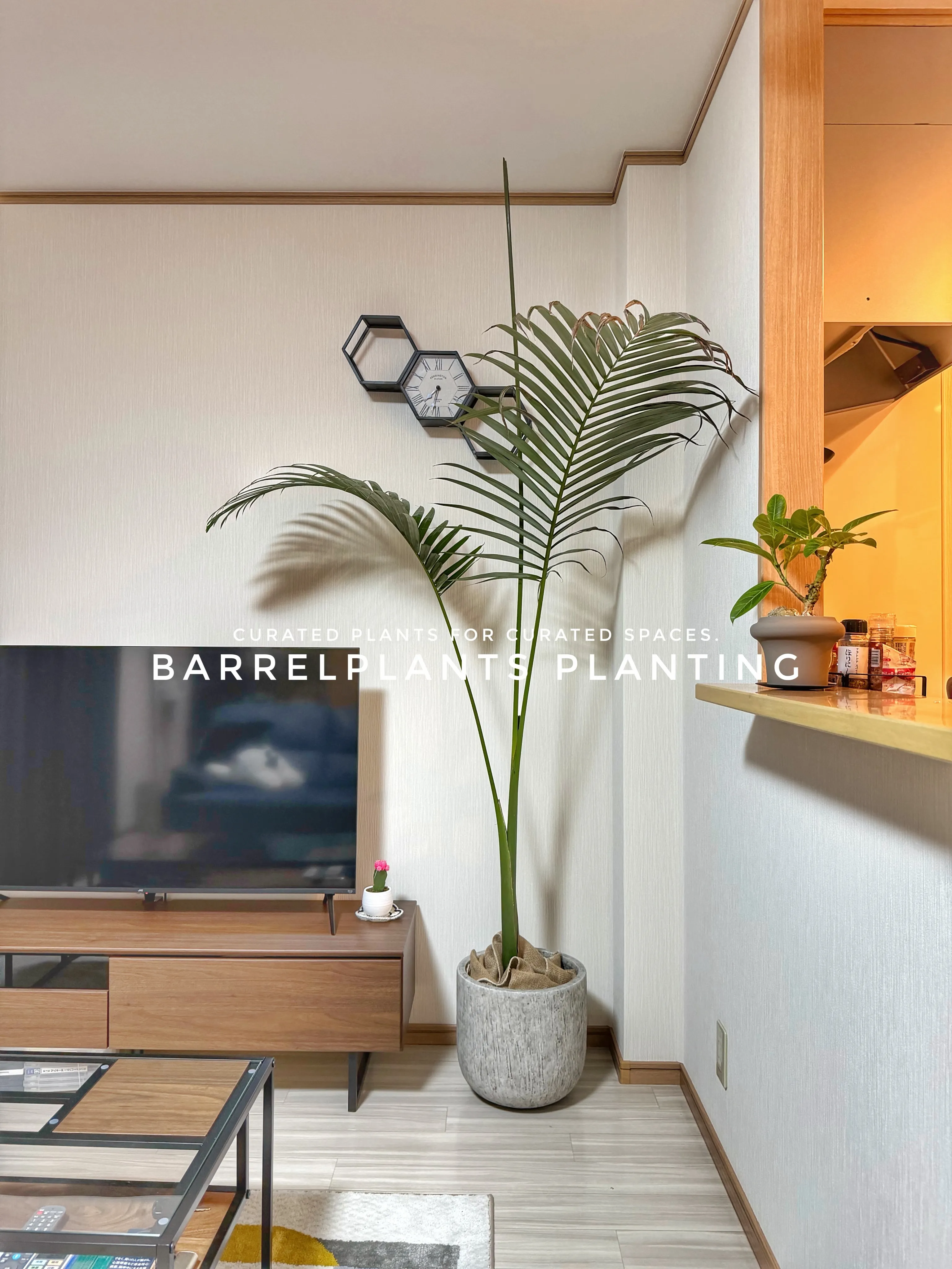 植物が、その家の景色になる。