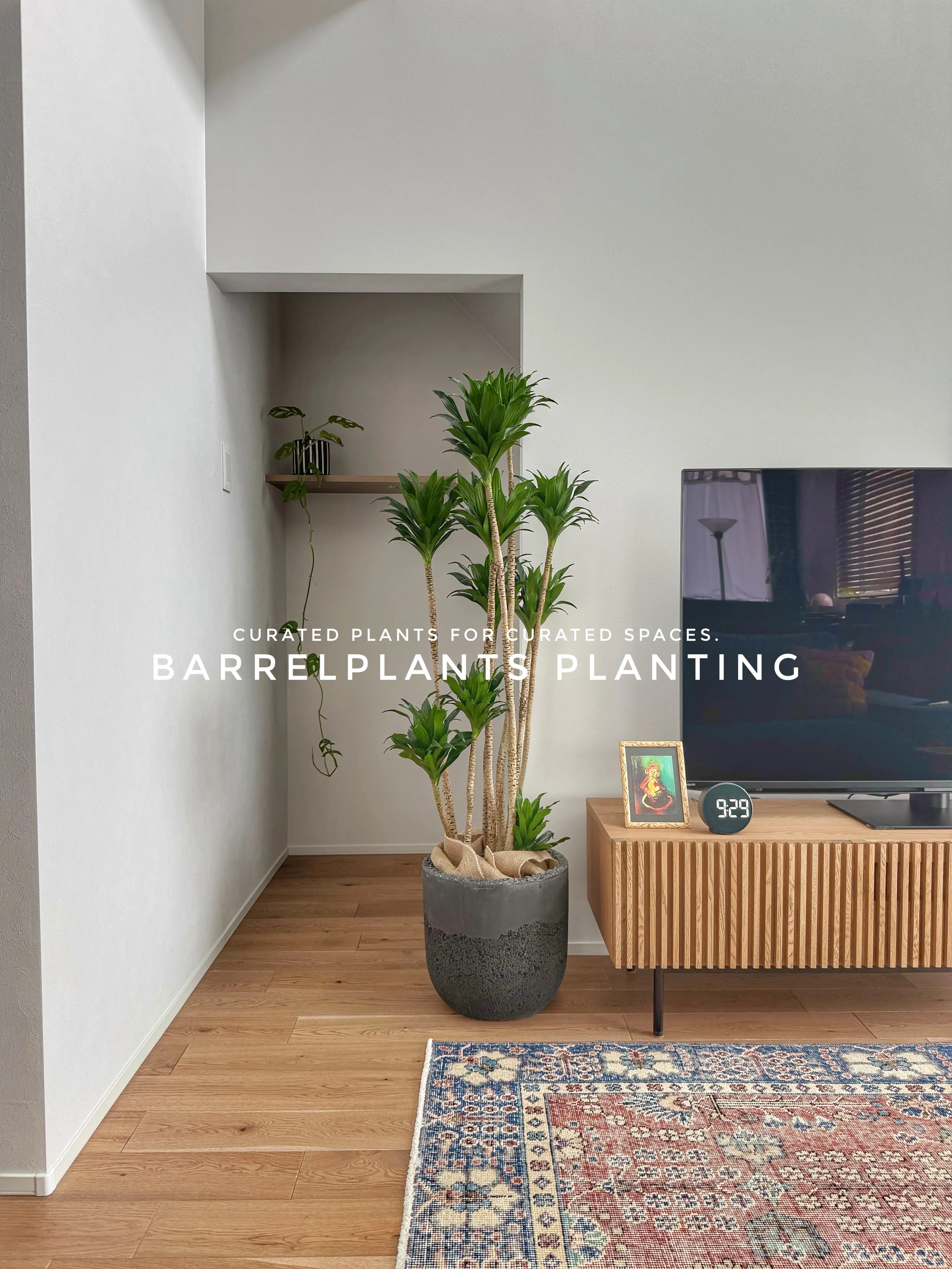 植物が、その家の景色になる。
