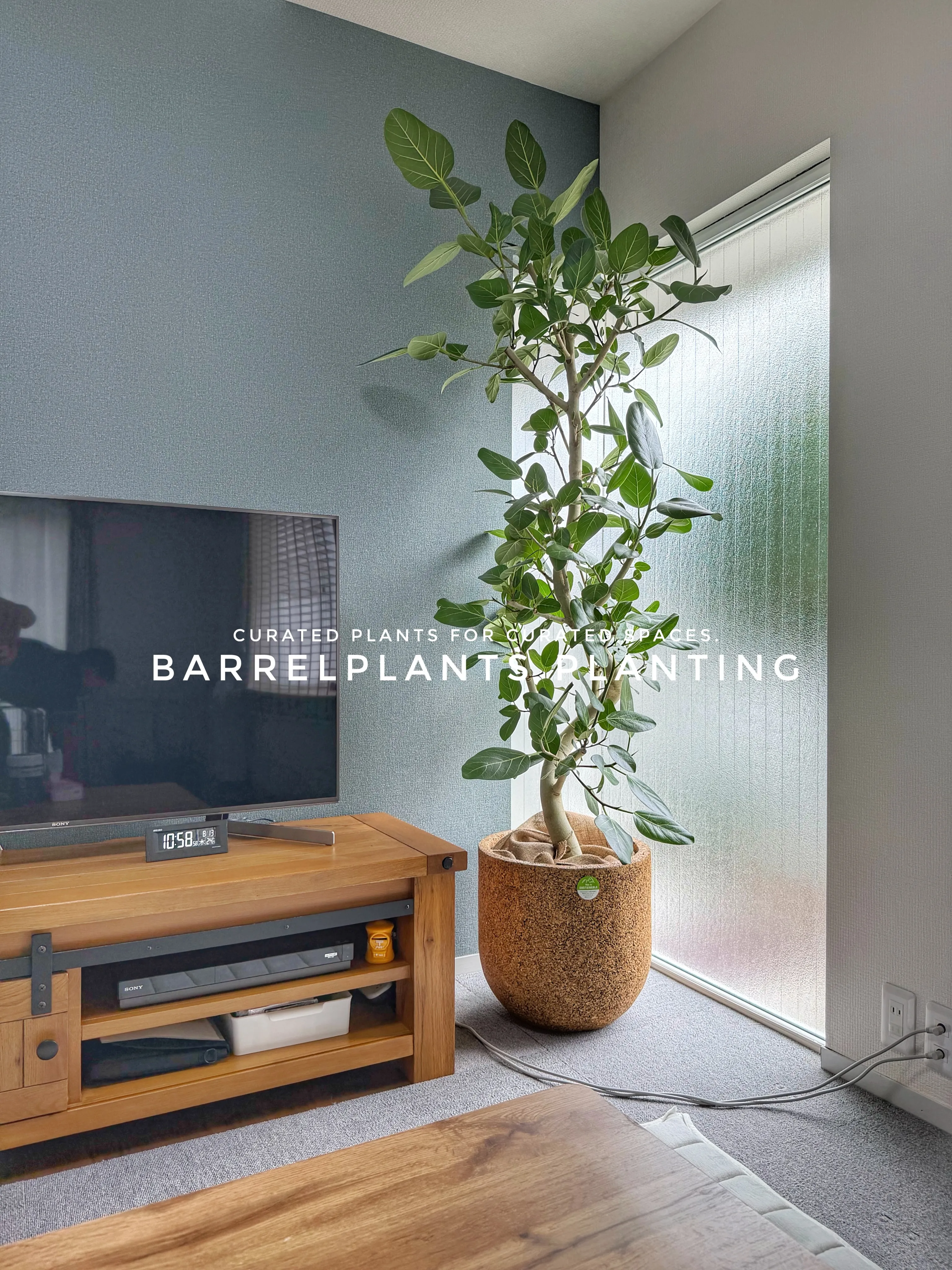 植物が、その家の景色になる。