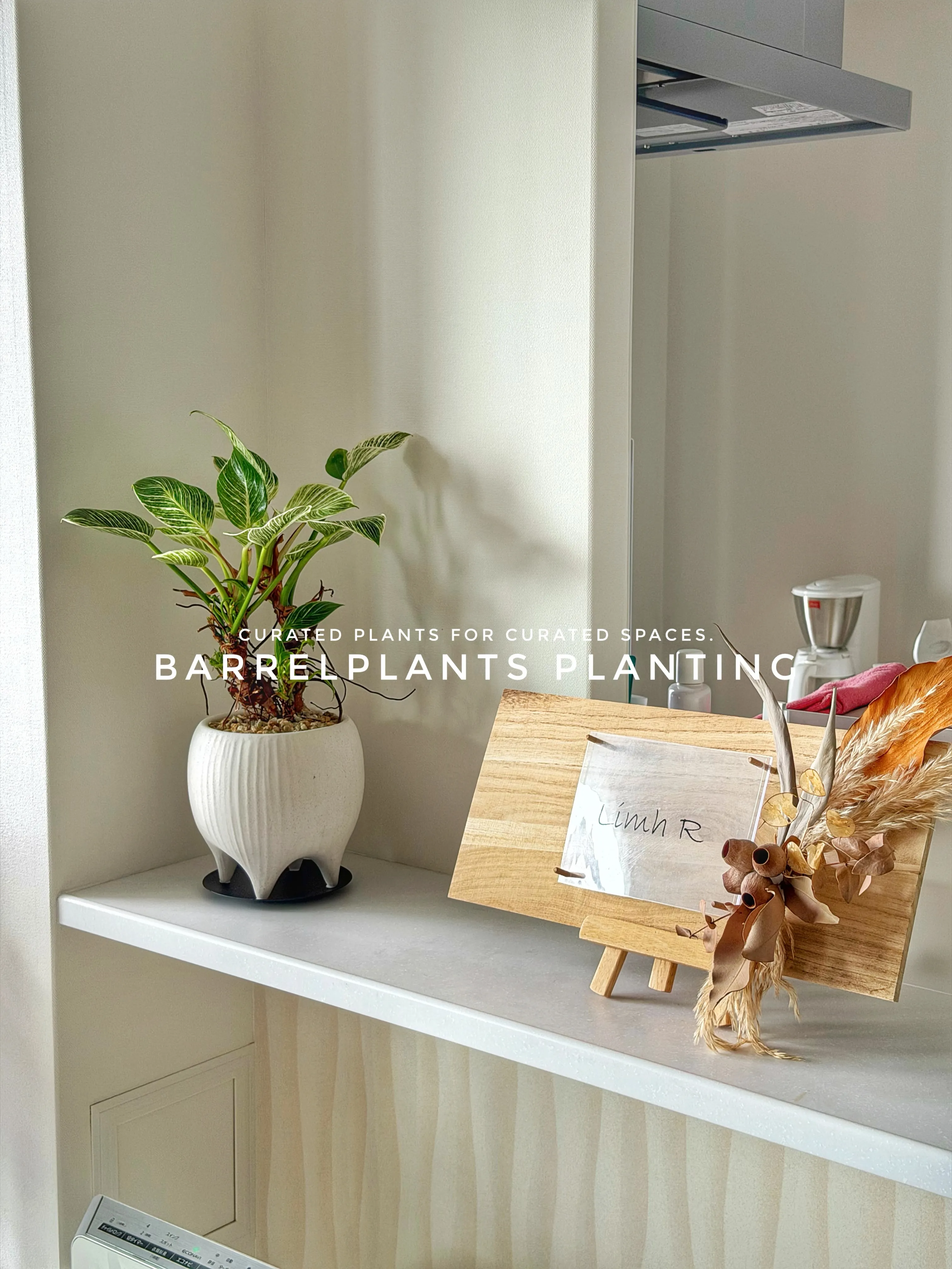 植物が、その家の景色になる。