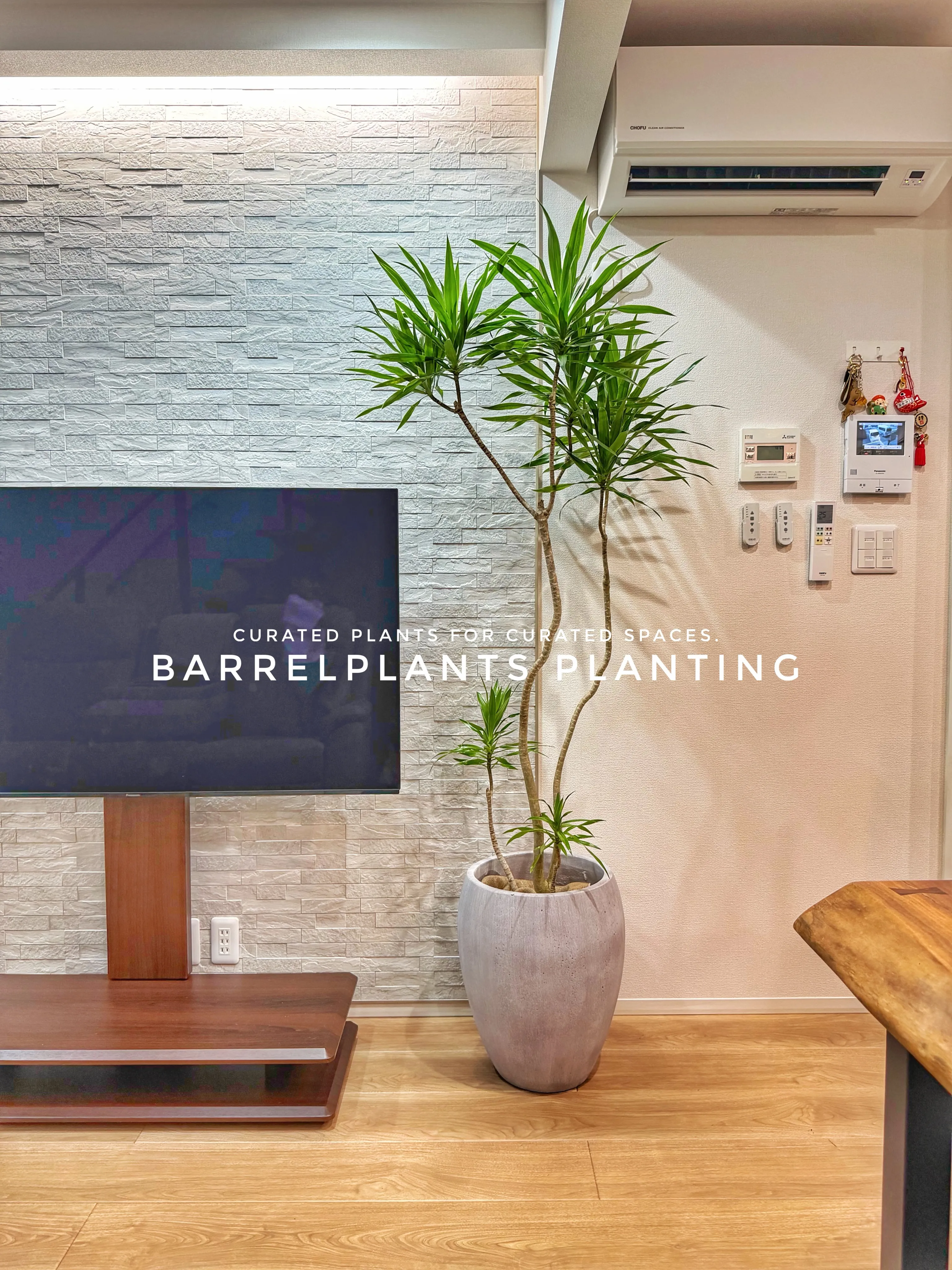 植物が、その家の景色になる。
