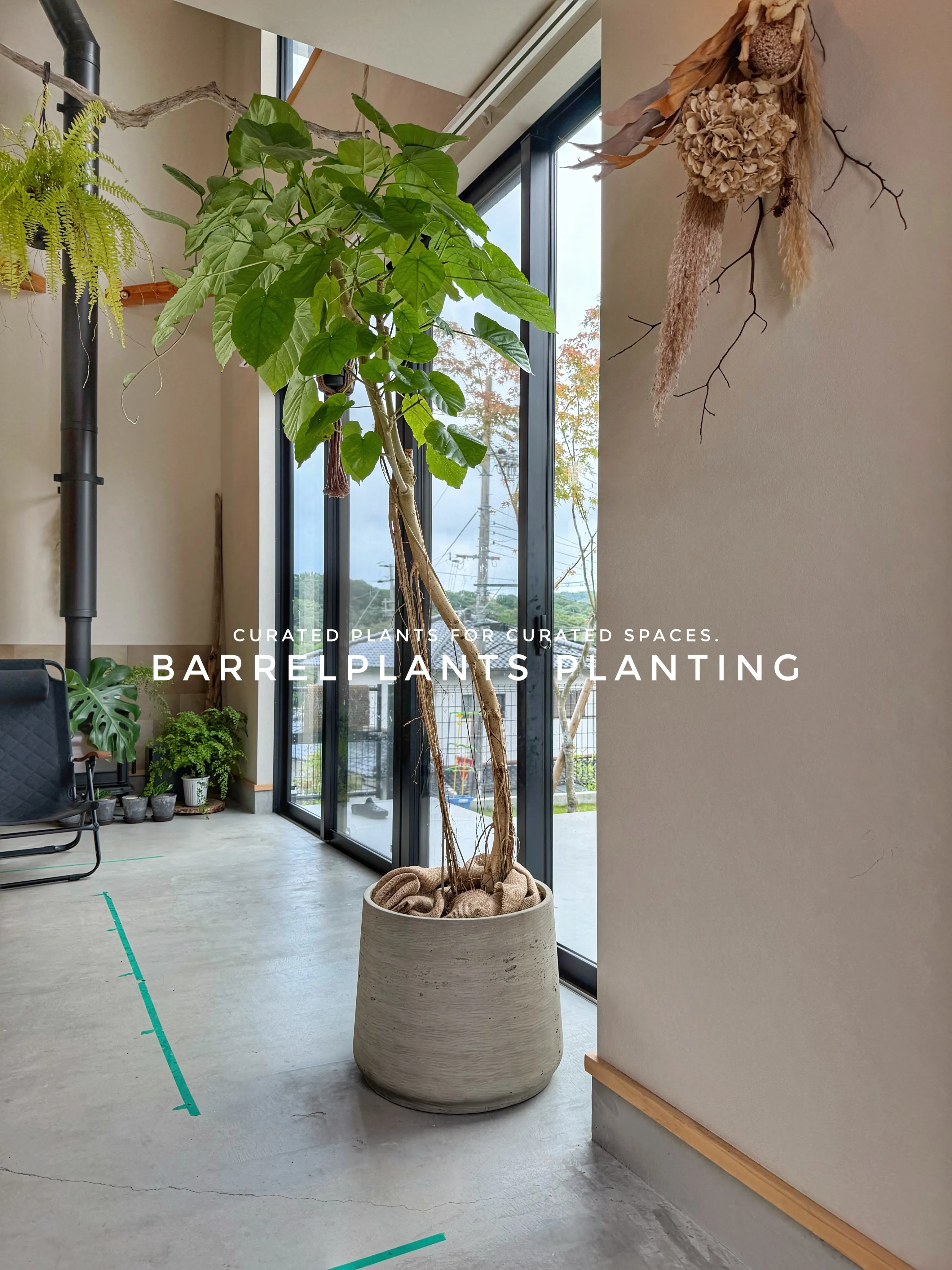 植物が、その家の景色になる。