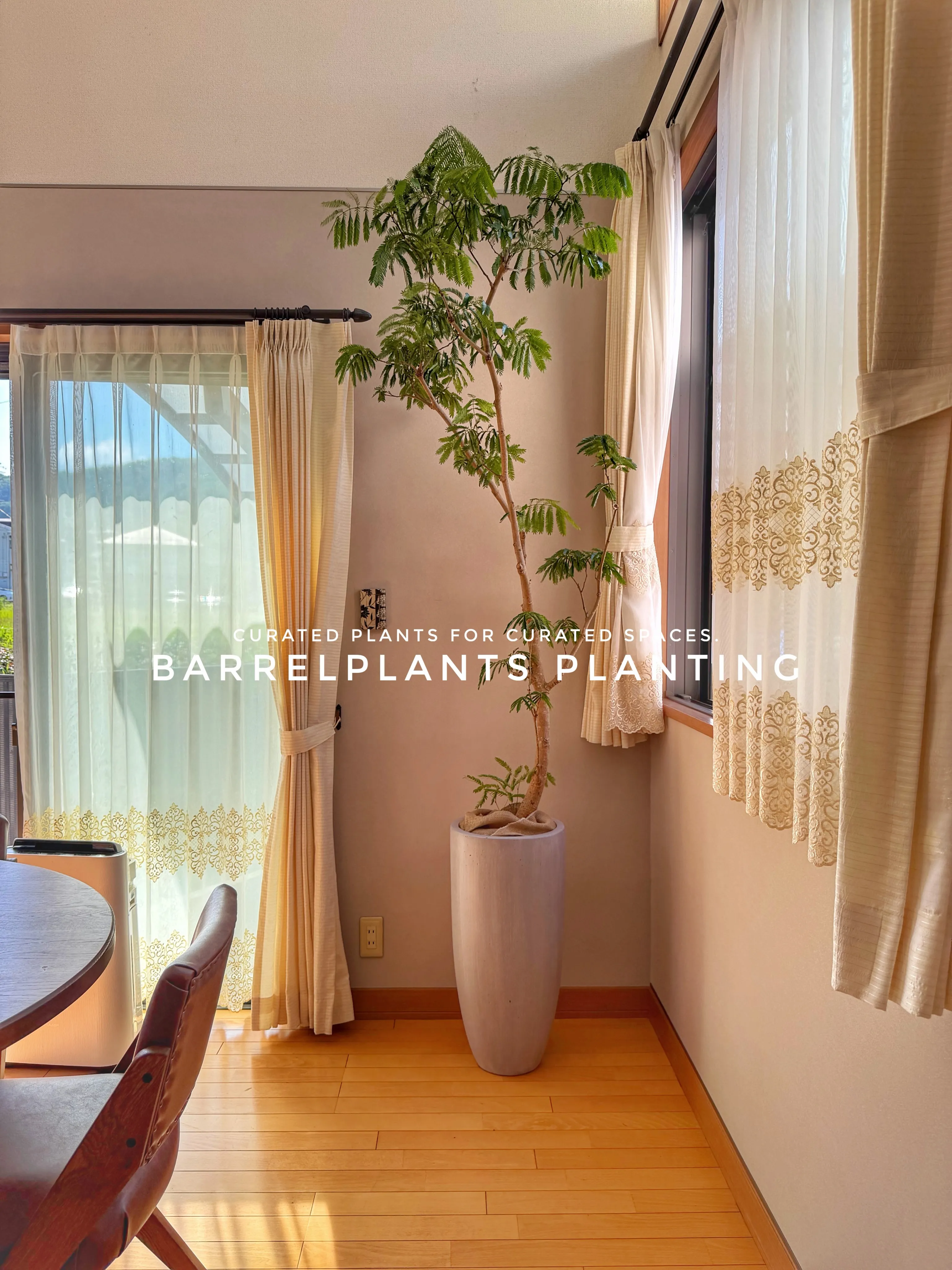 植物が、その家の景色になる。