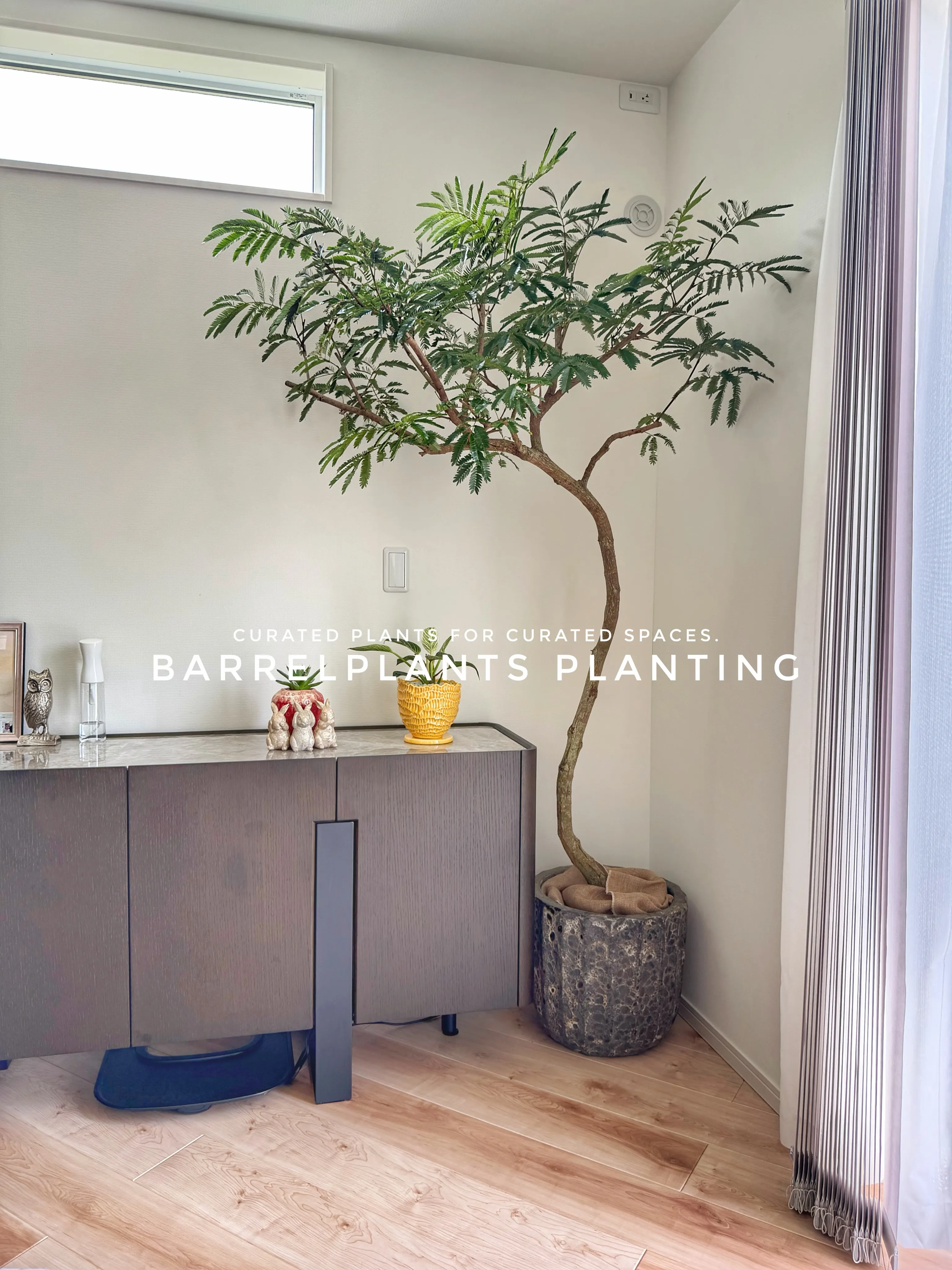 植物が、その家の景色になる。