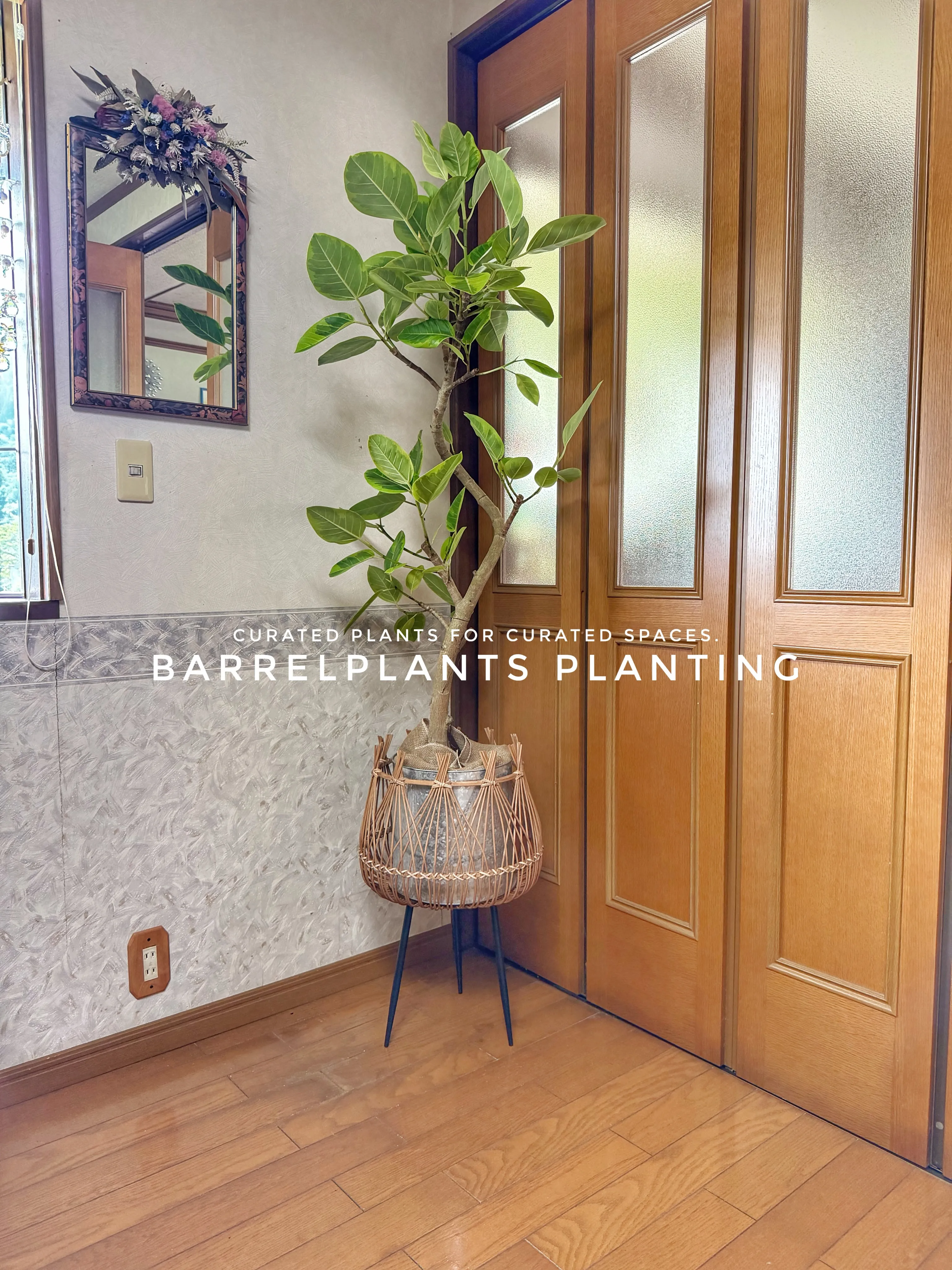 植物が、その家の景色になる。