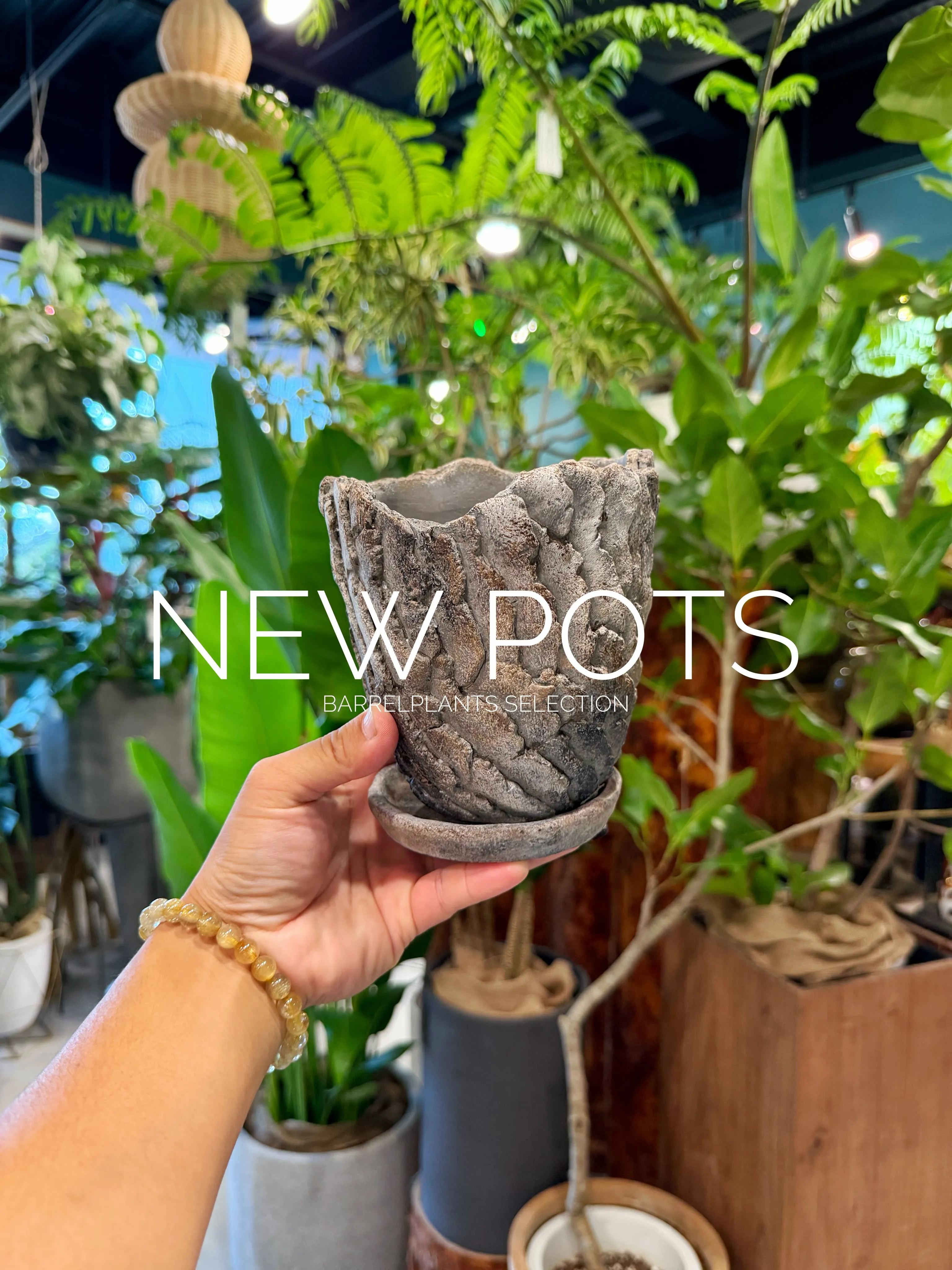 NEW POTS｜鉢からはじまる、植物選び。