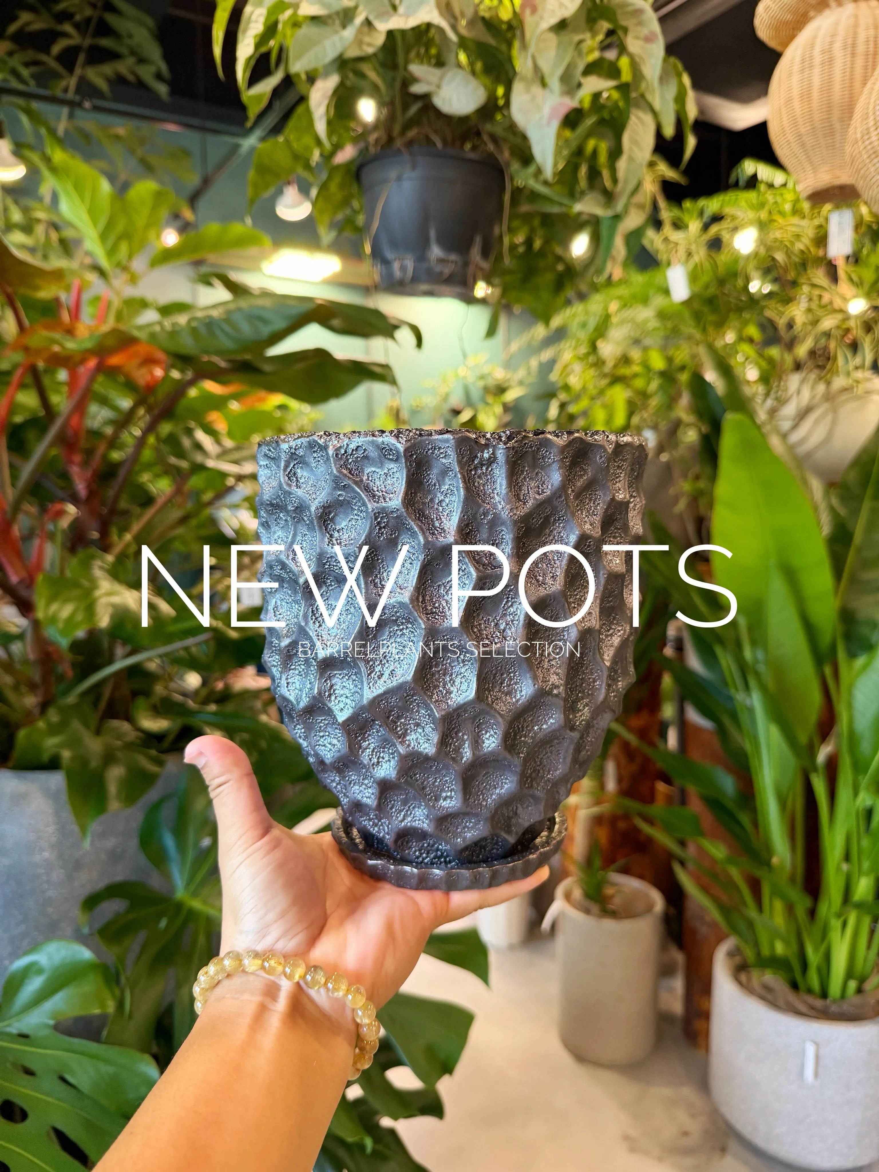 NEW POTS｜鉢からはじまる、植物選び。