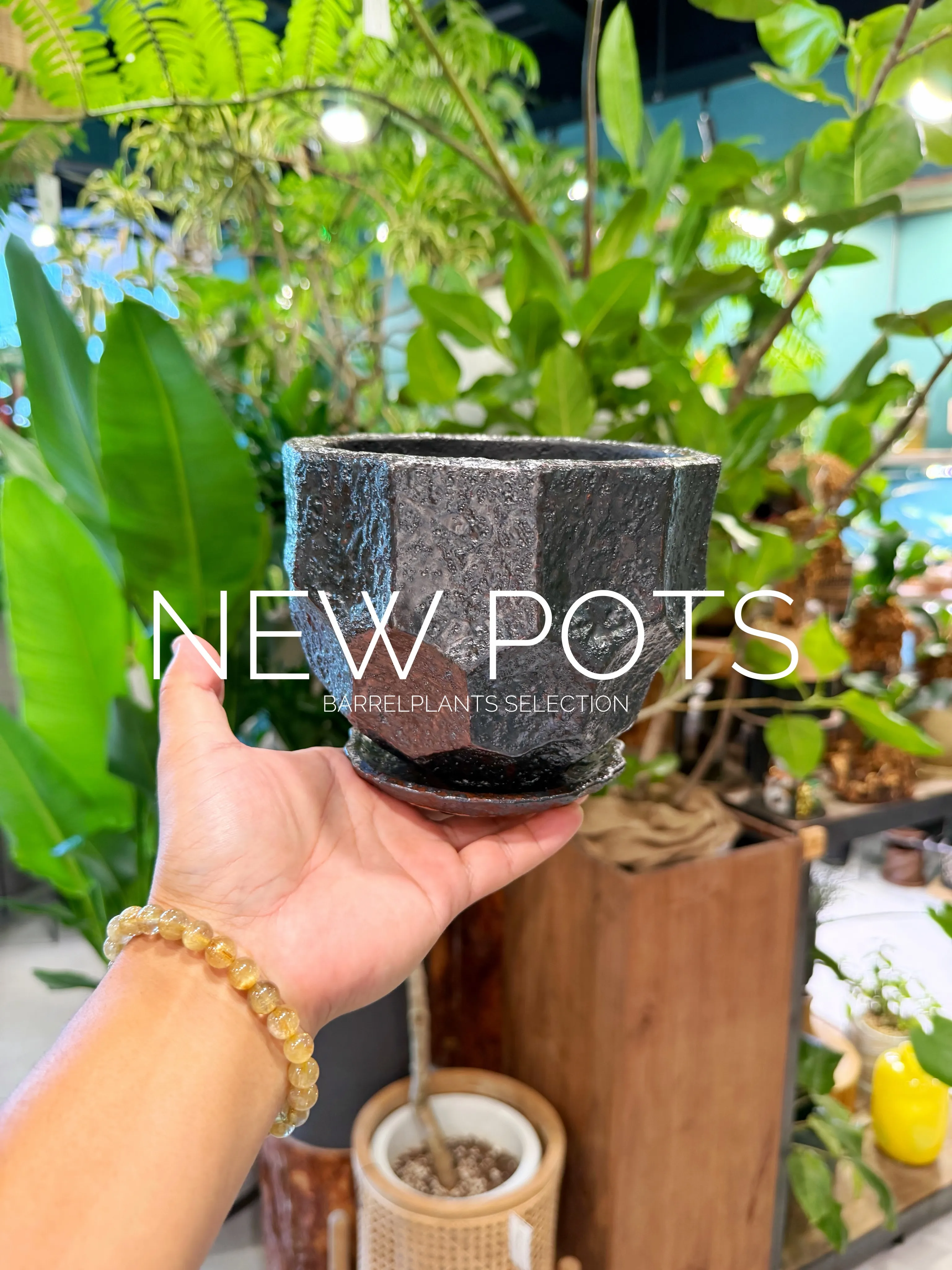 NEW POTS｜鉢からはじまる、植物選び。