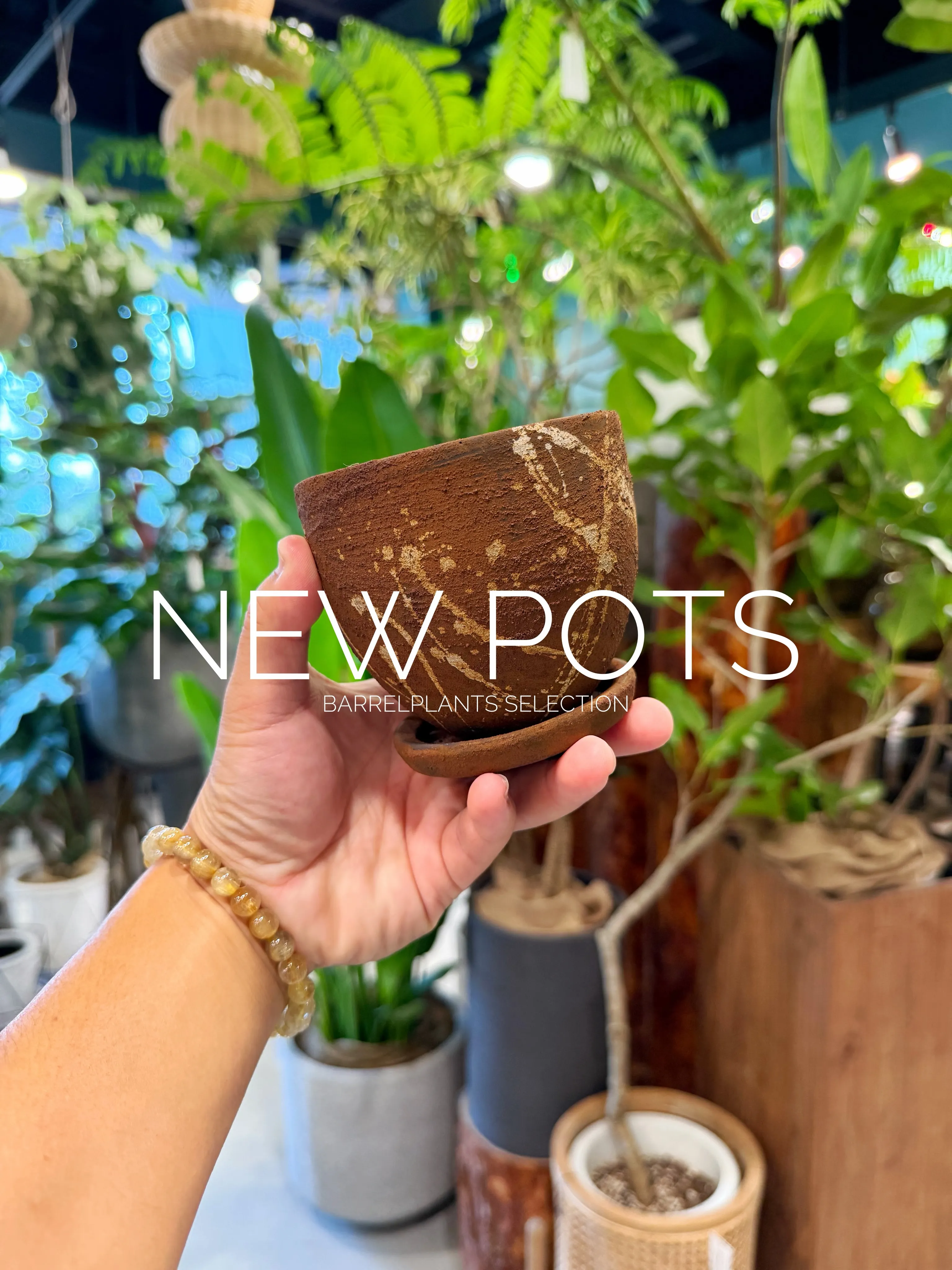 NEW POTS｜鉢からはじまる、植物選び。