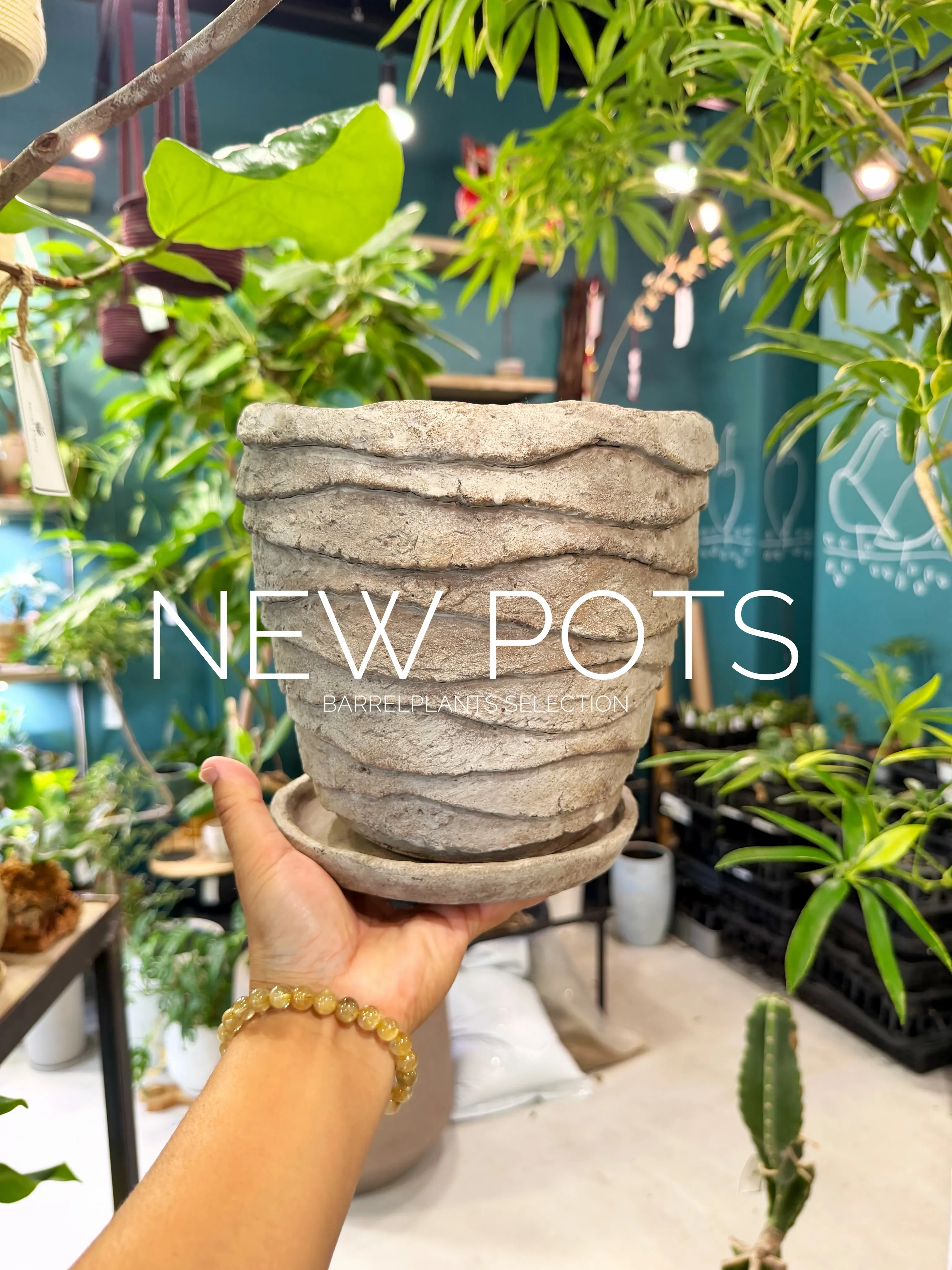 NEW POTS｜鉢からはじまる、植物選び。