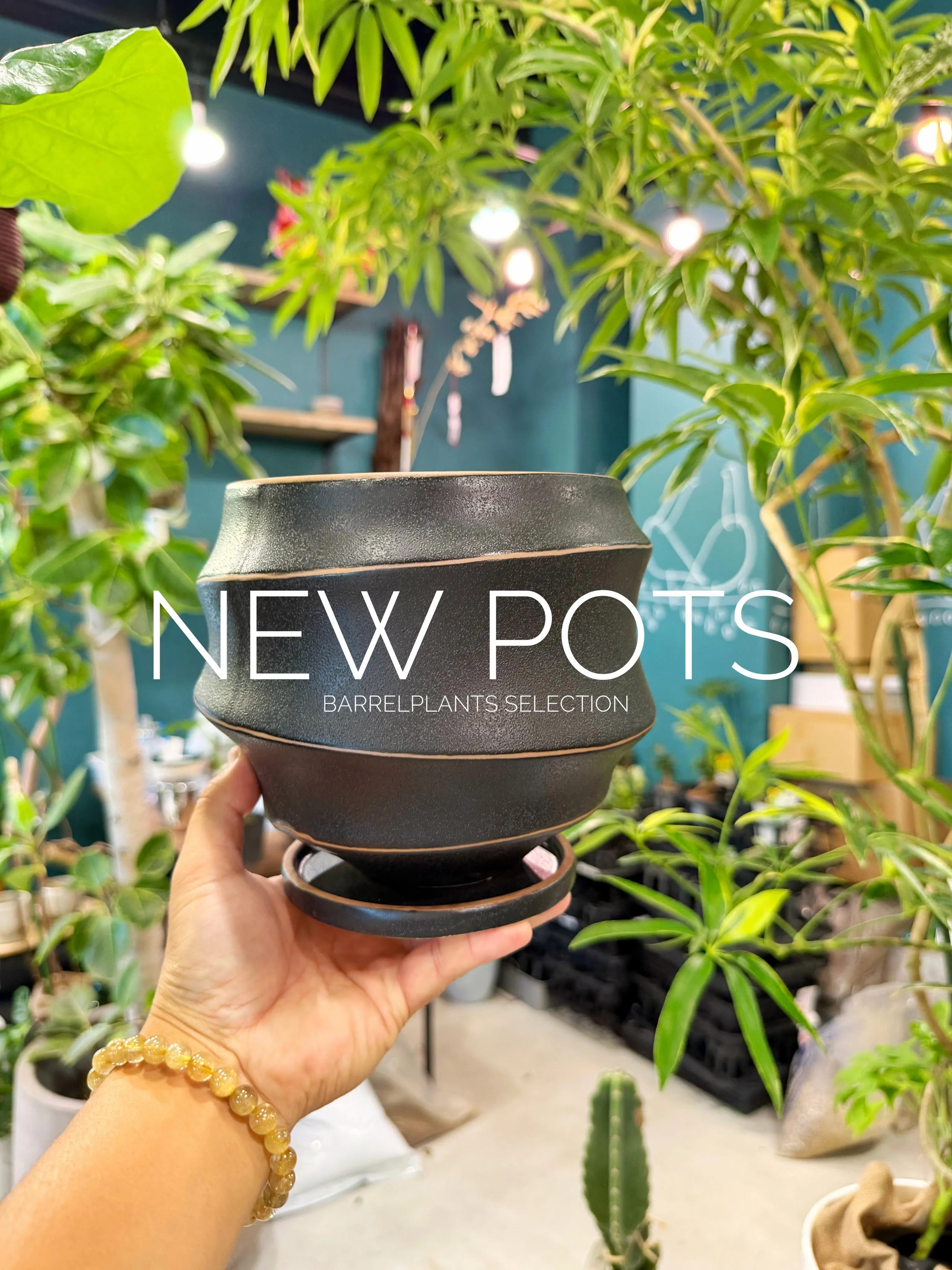 NEW POTS｜鉢からはじまる、植物選び。