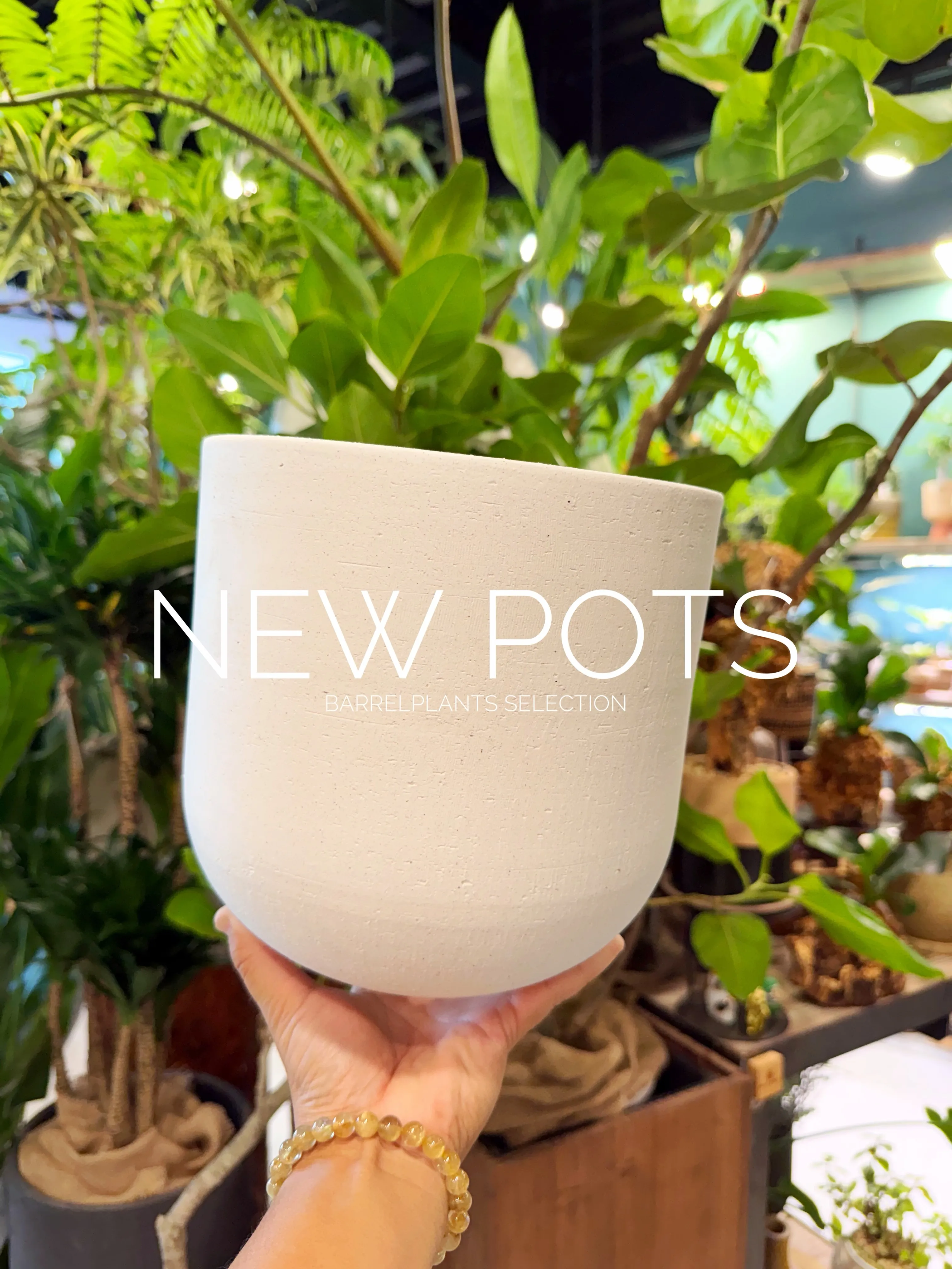 NEW POTS｜鉢からはじまる、植物選び。