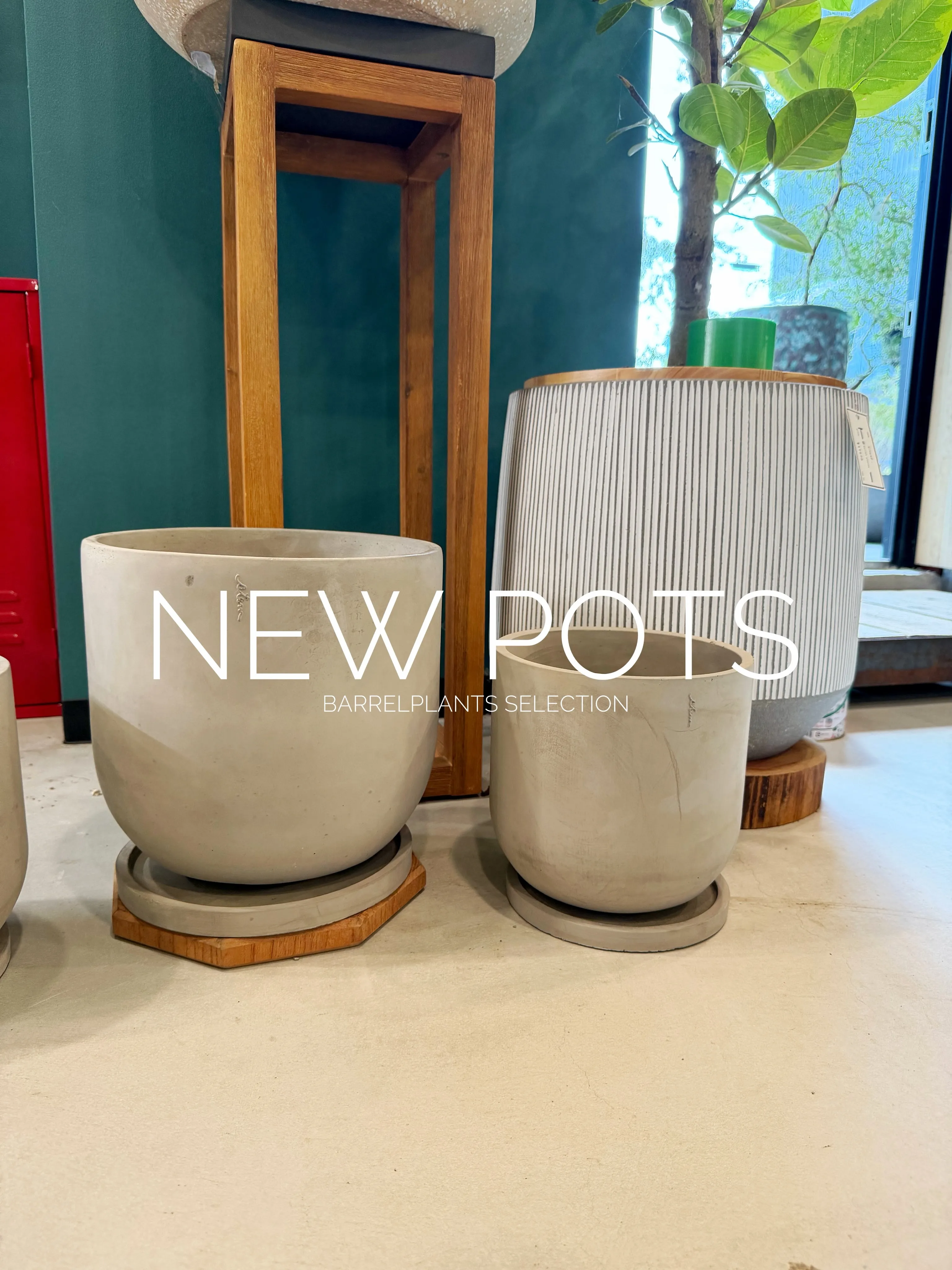 NEW POTS｜鉢からはじまる、植物選び。