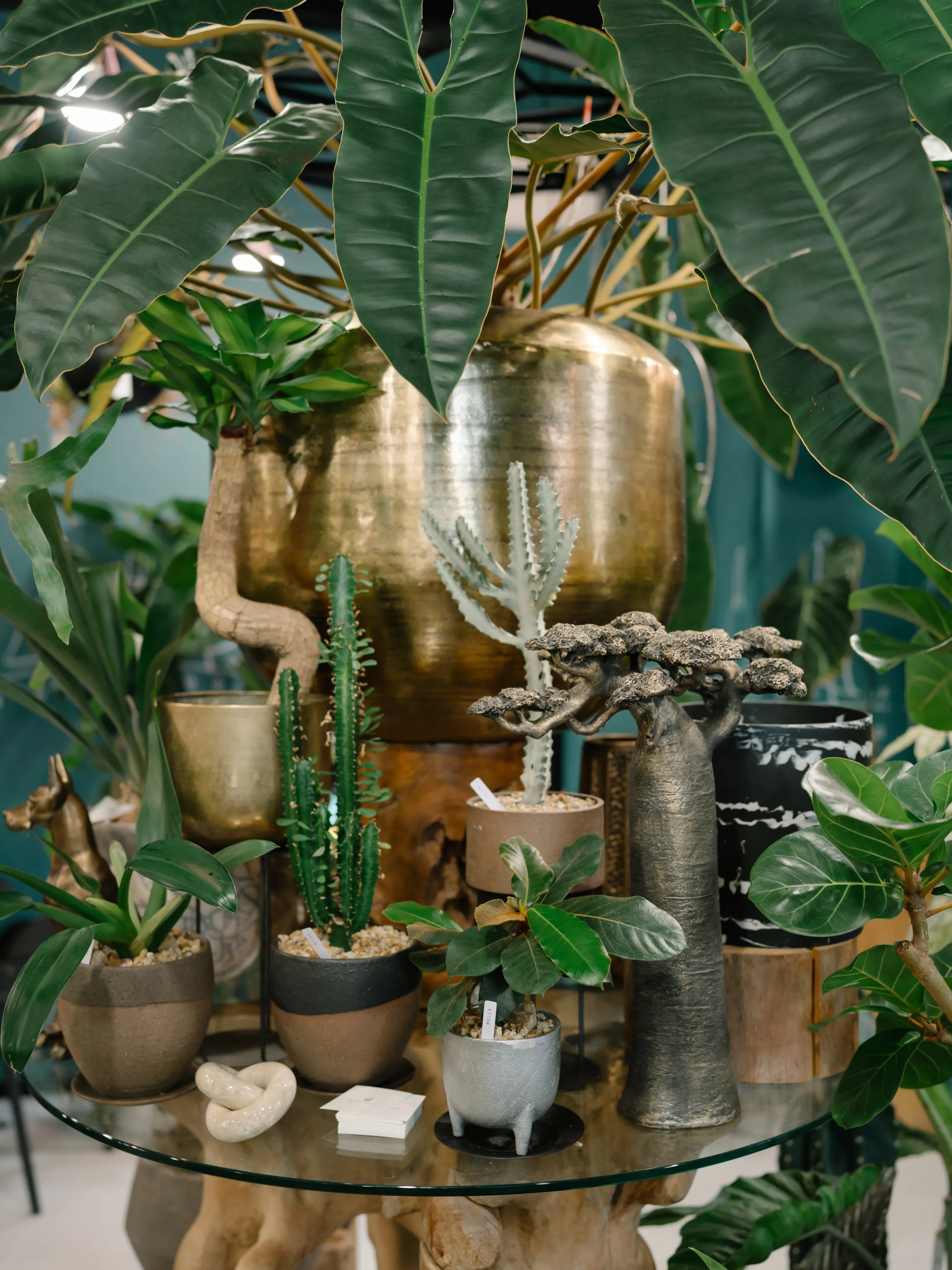 植物と暮らす。