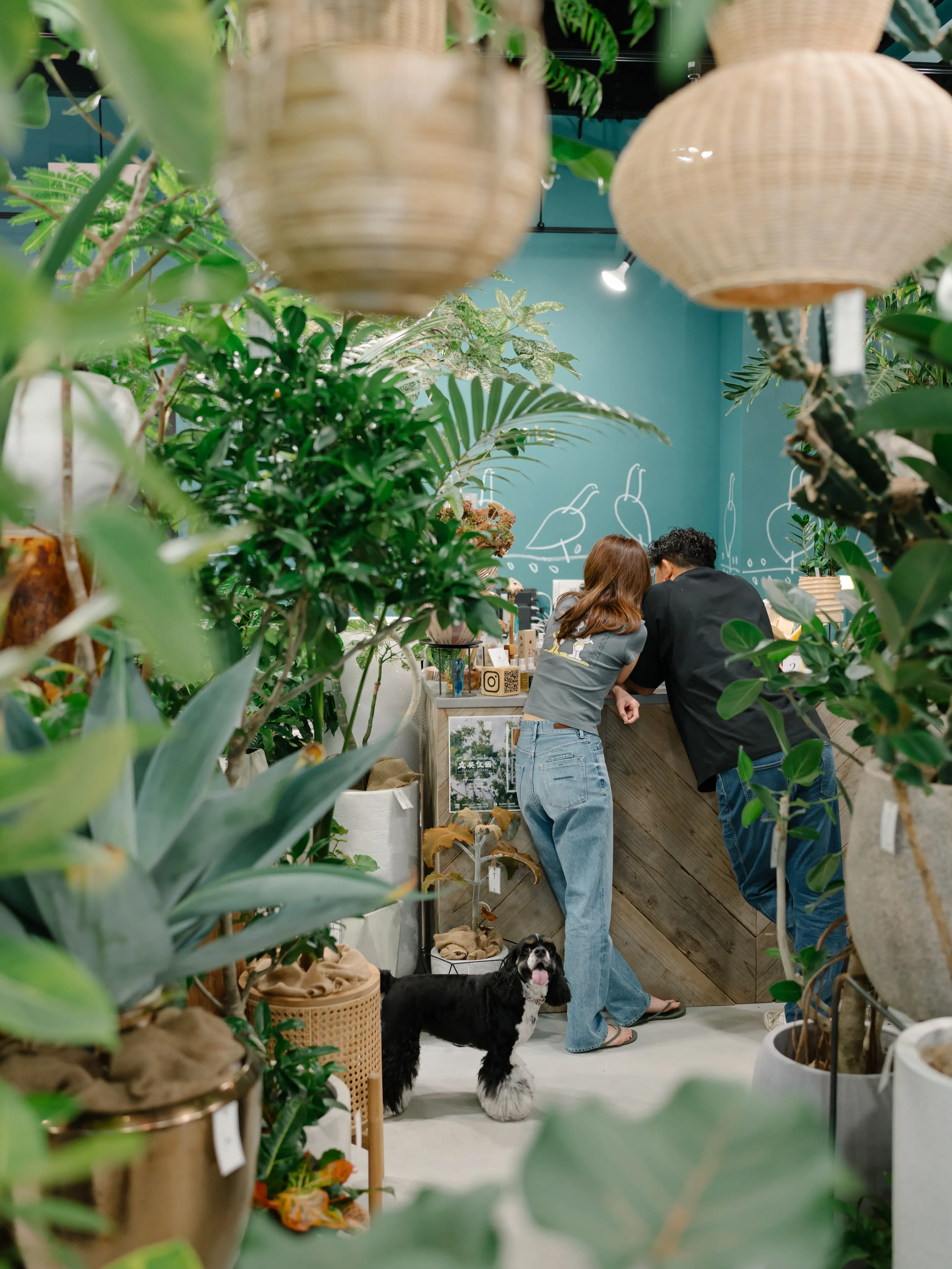 植物と暮らす。