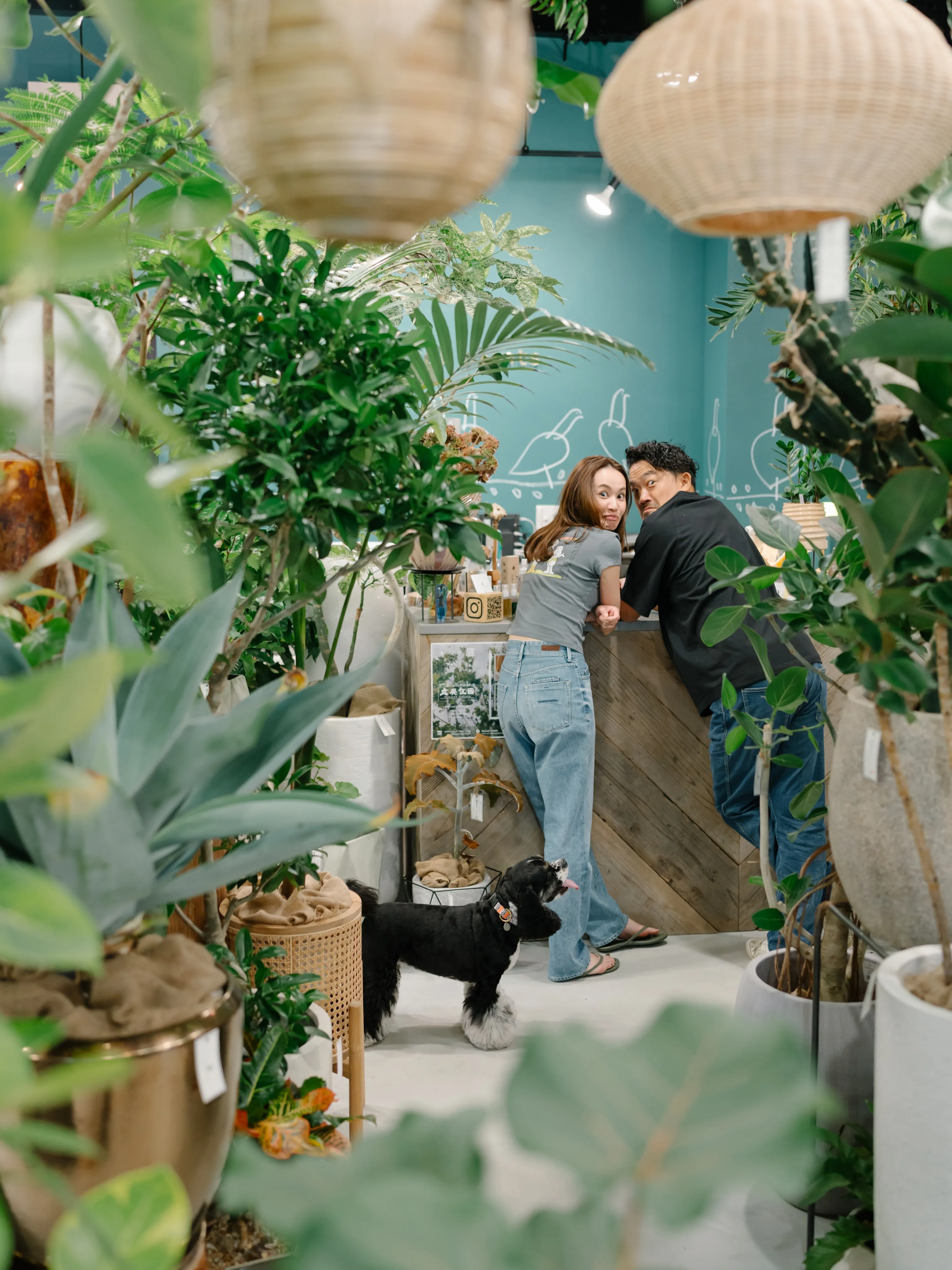 植物と暮らす。