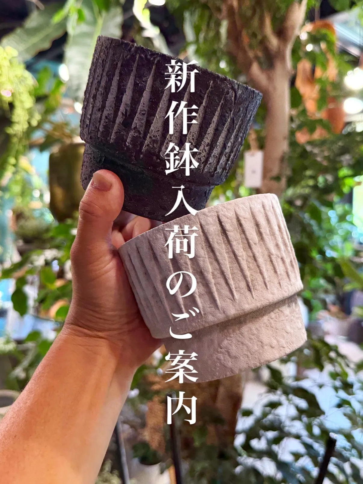 植物だけじゃ、完成しない。