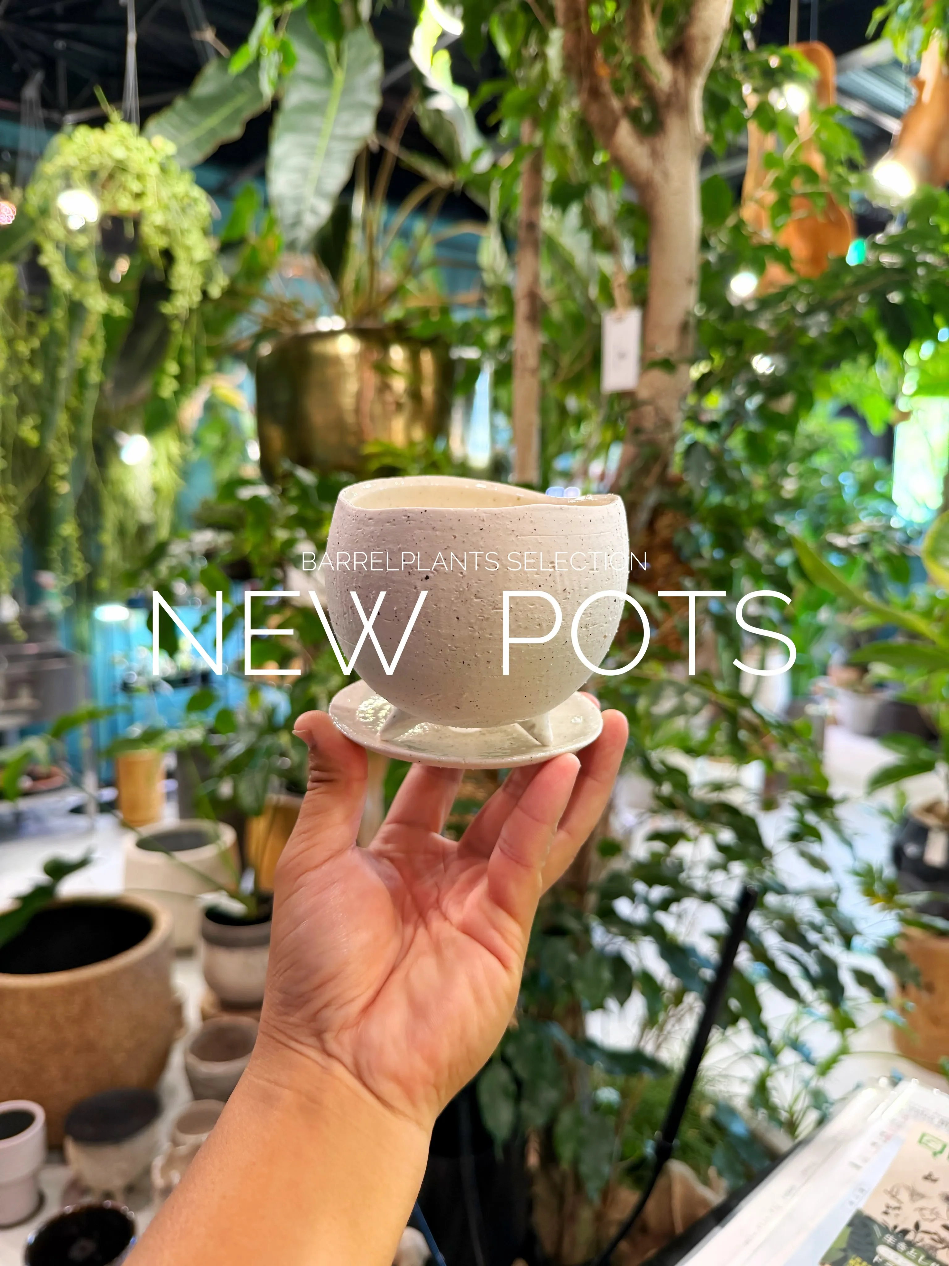 植物だけじゃ、完成しない。