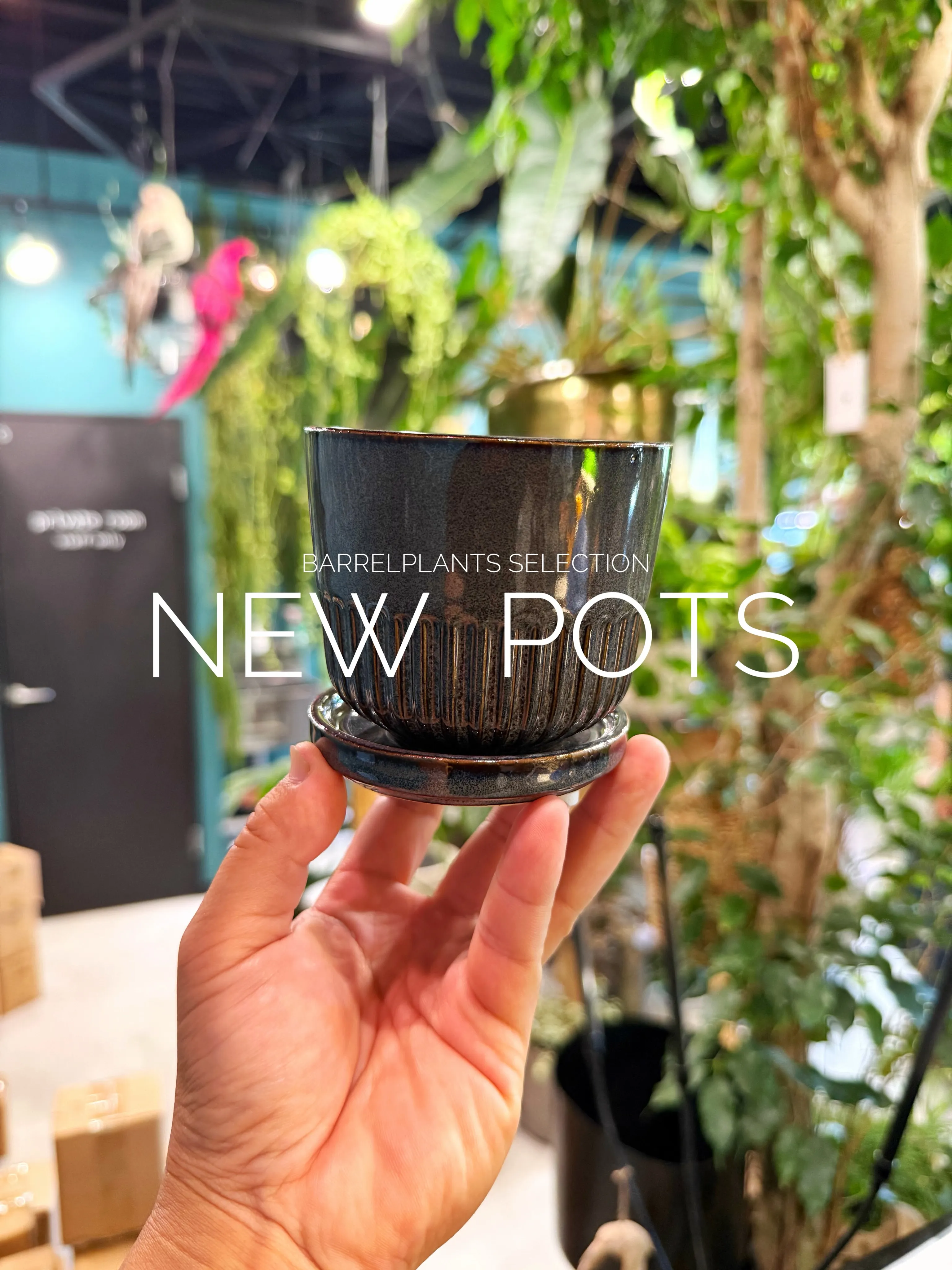 植物だけじゃ、完成しない。