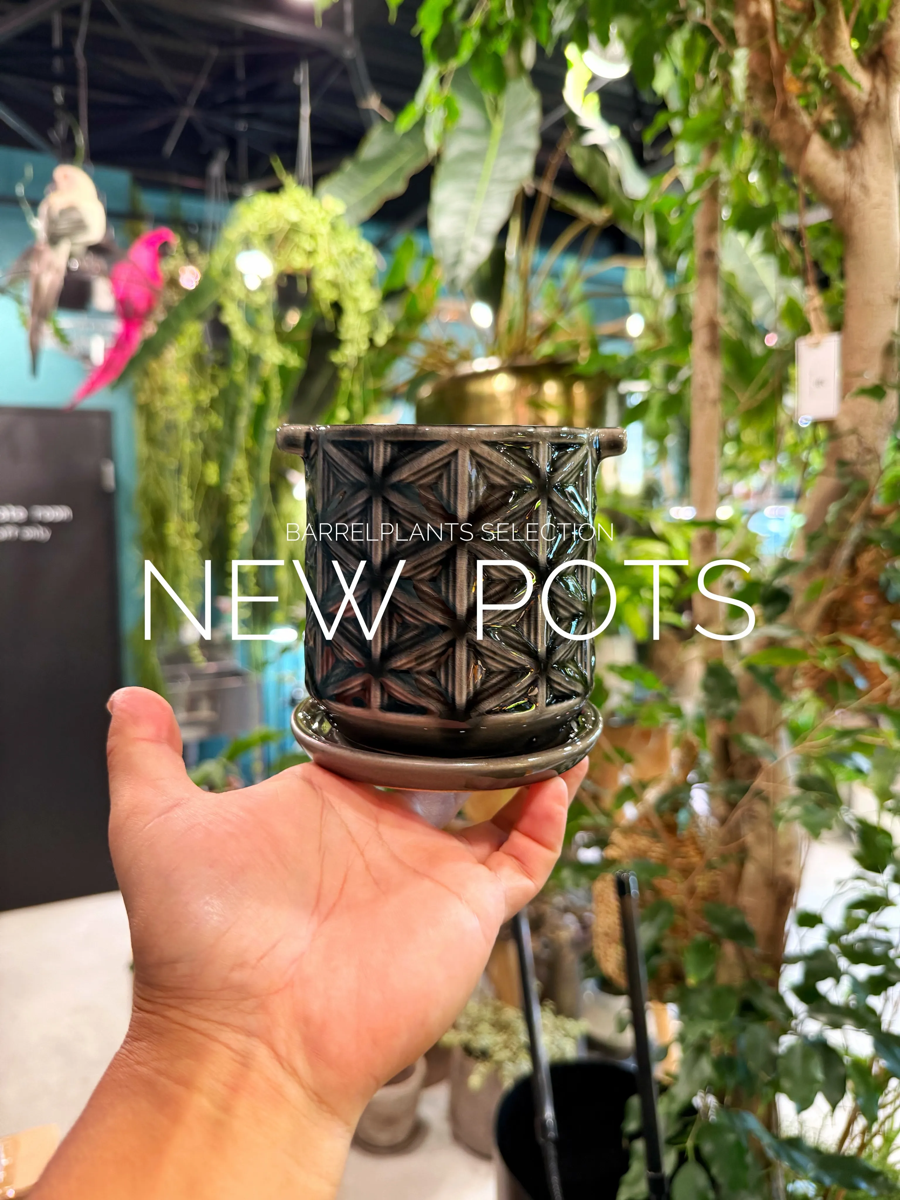 植物だけじゃ、完成しない。