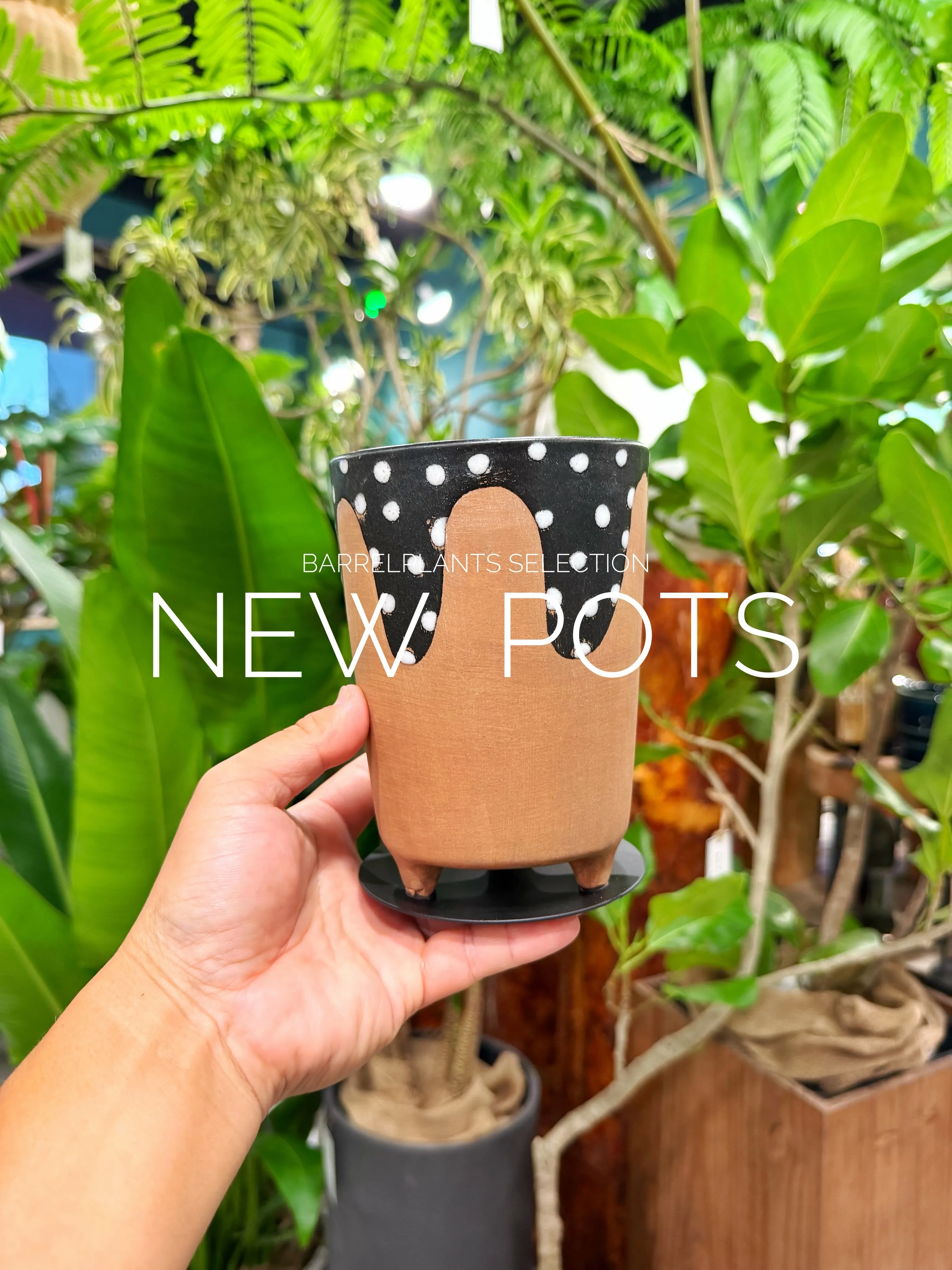 植物だけじゃ、完成しない。