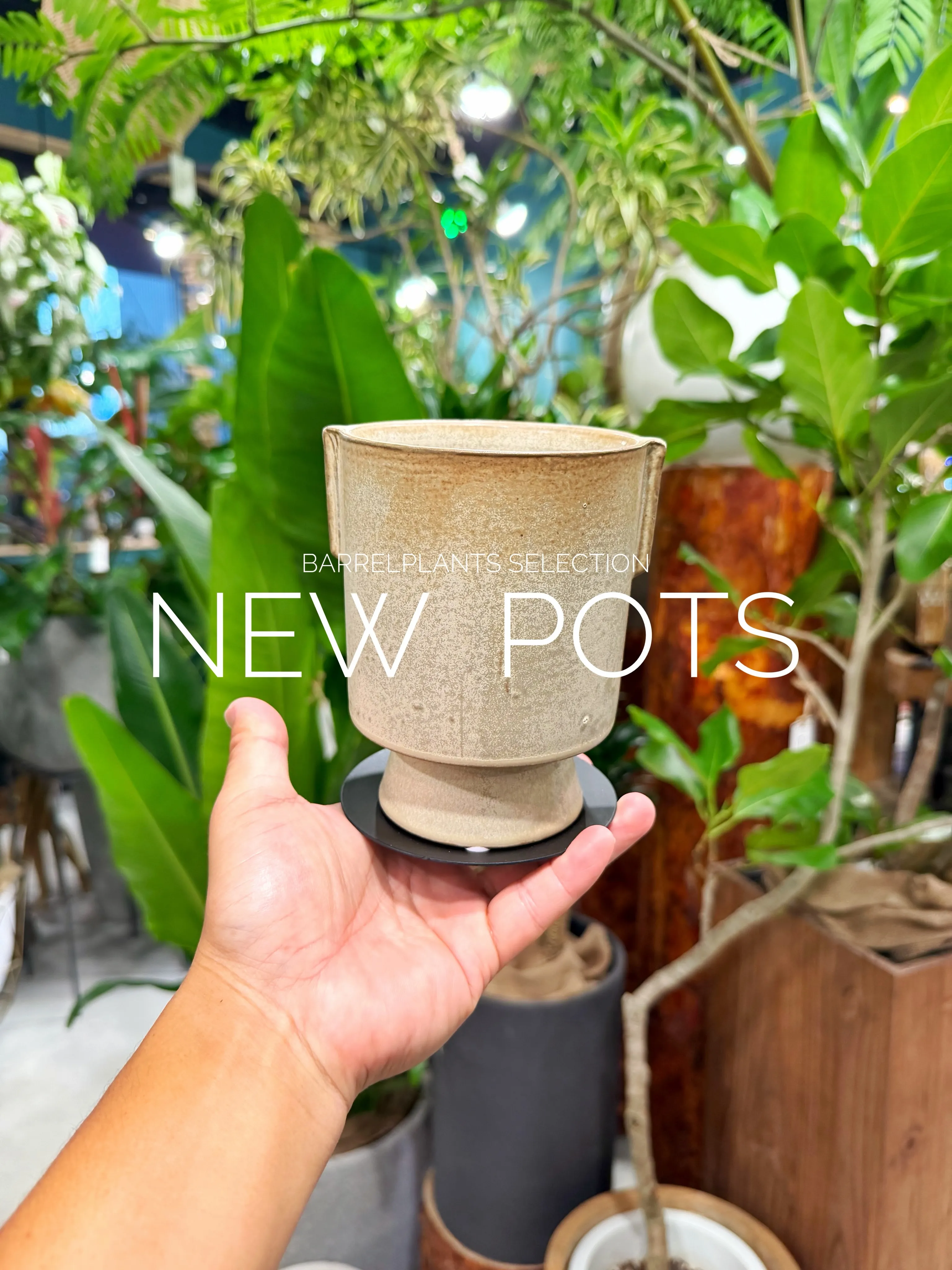 植物だけじゃ、完成しない。