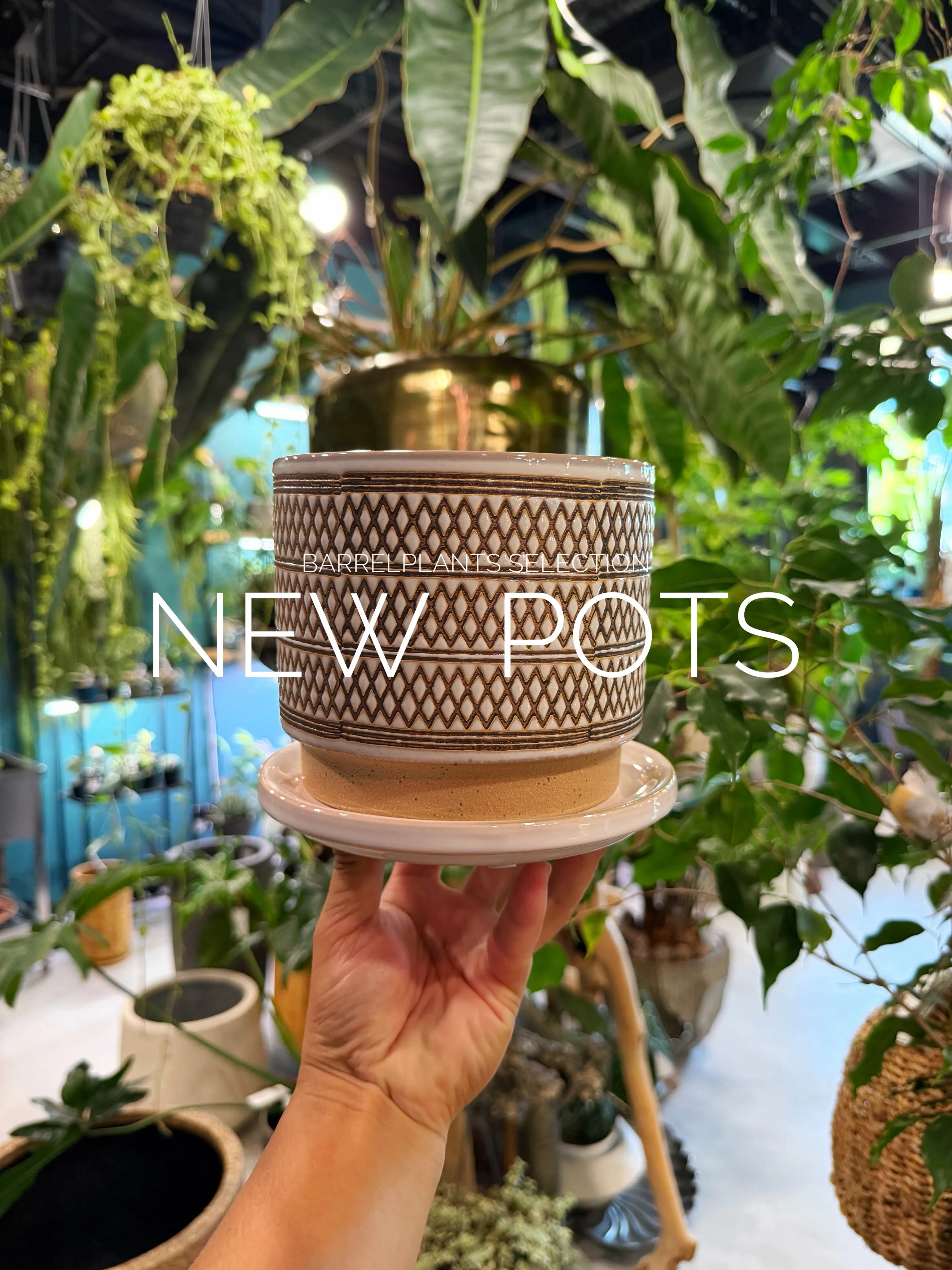 植物だけじゃ、完成しない。