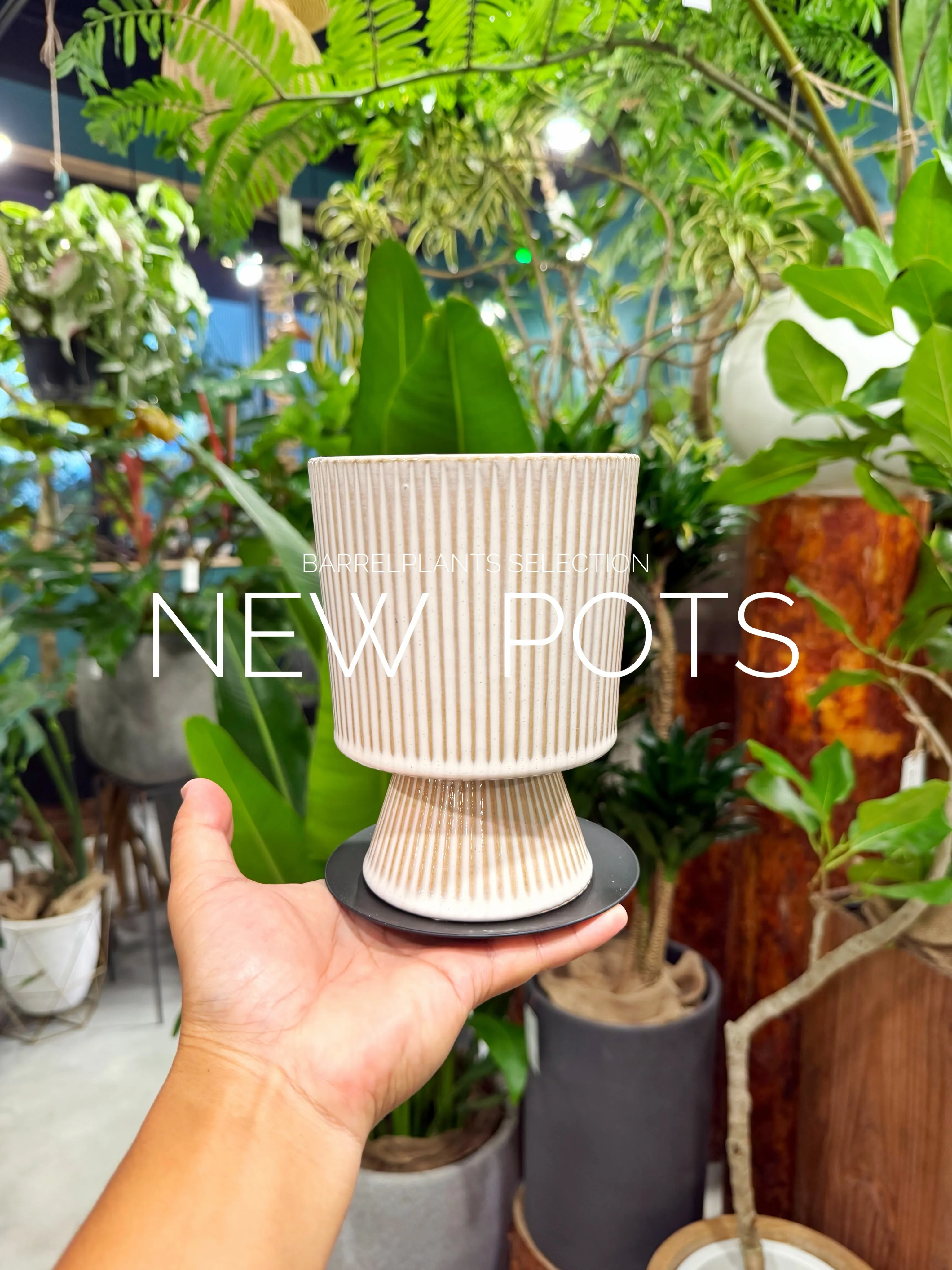 植物だけじゃ、完成しない。