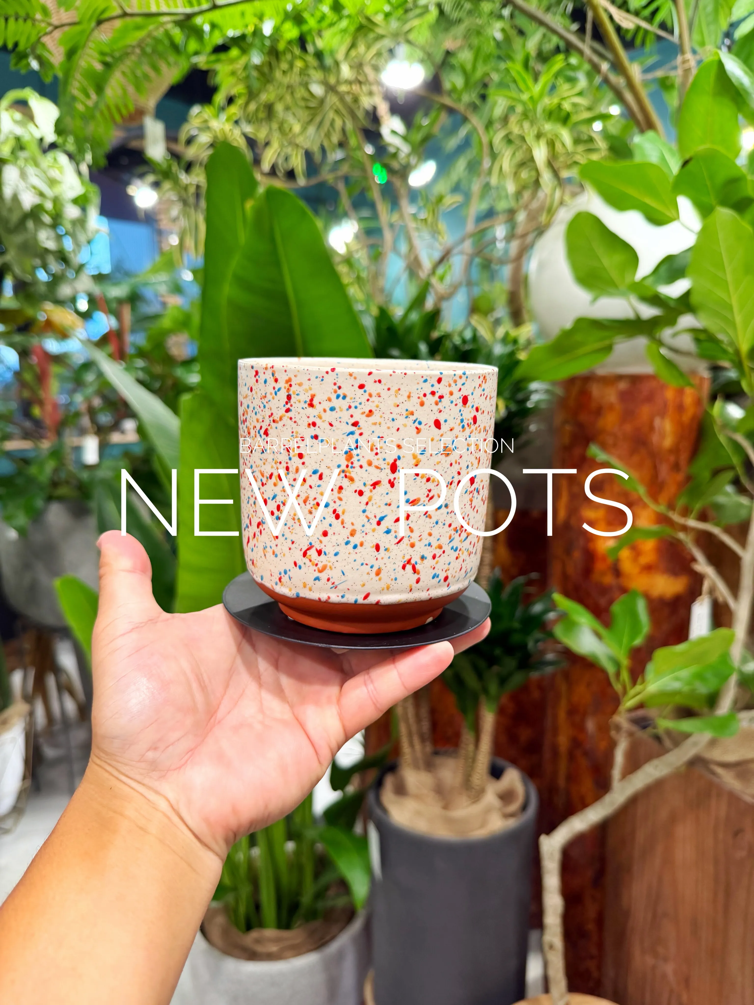 植物だけじゃ、完成しない。