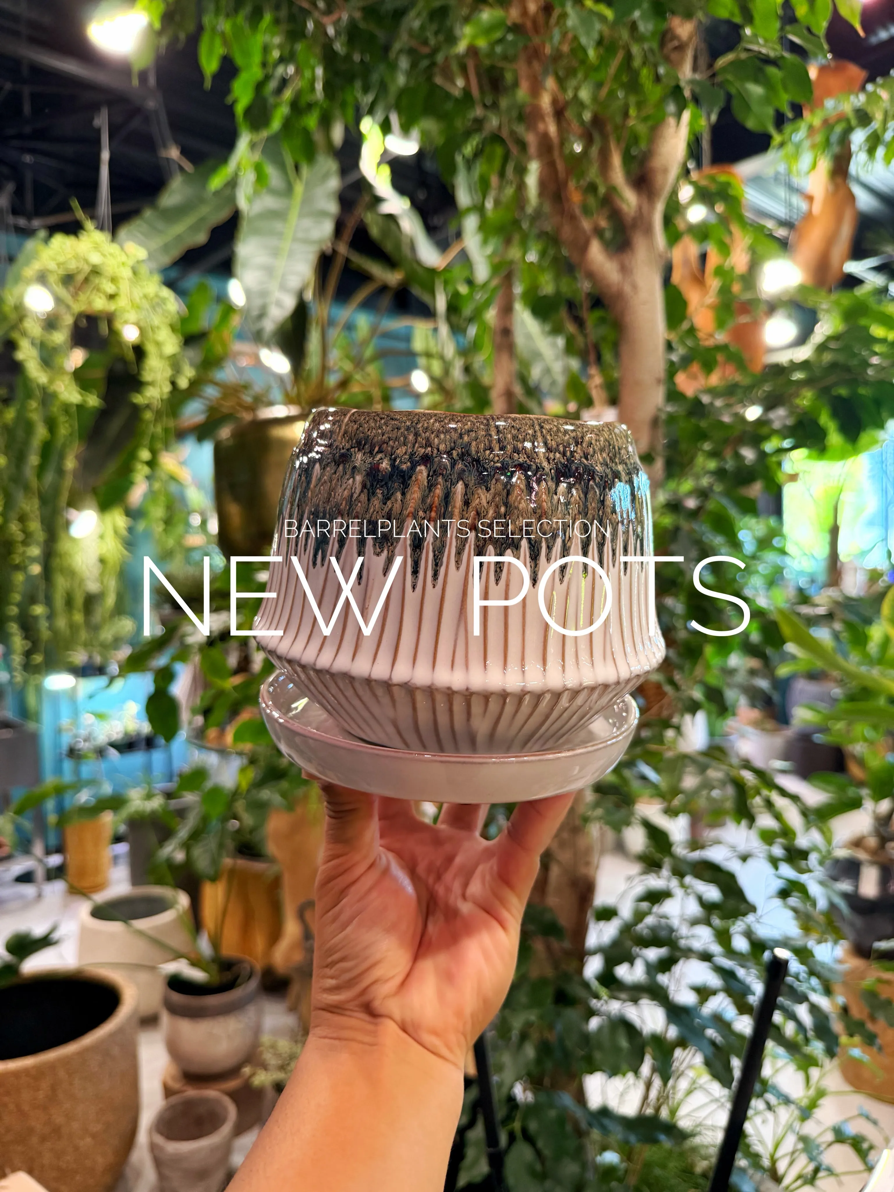 植物だけじゃ、完成しない。