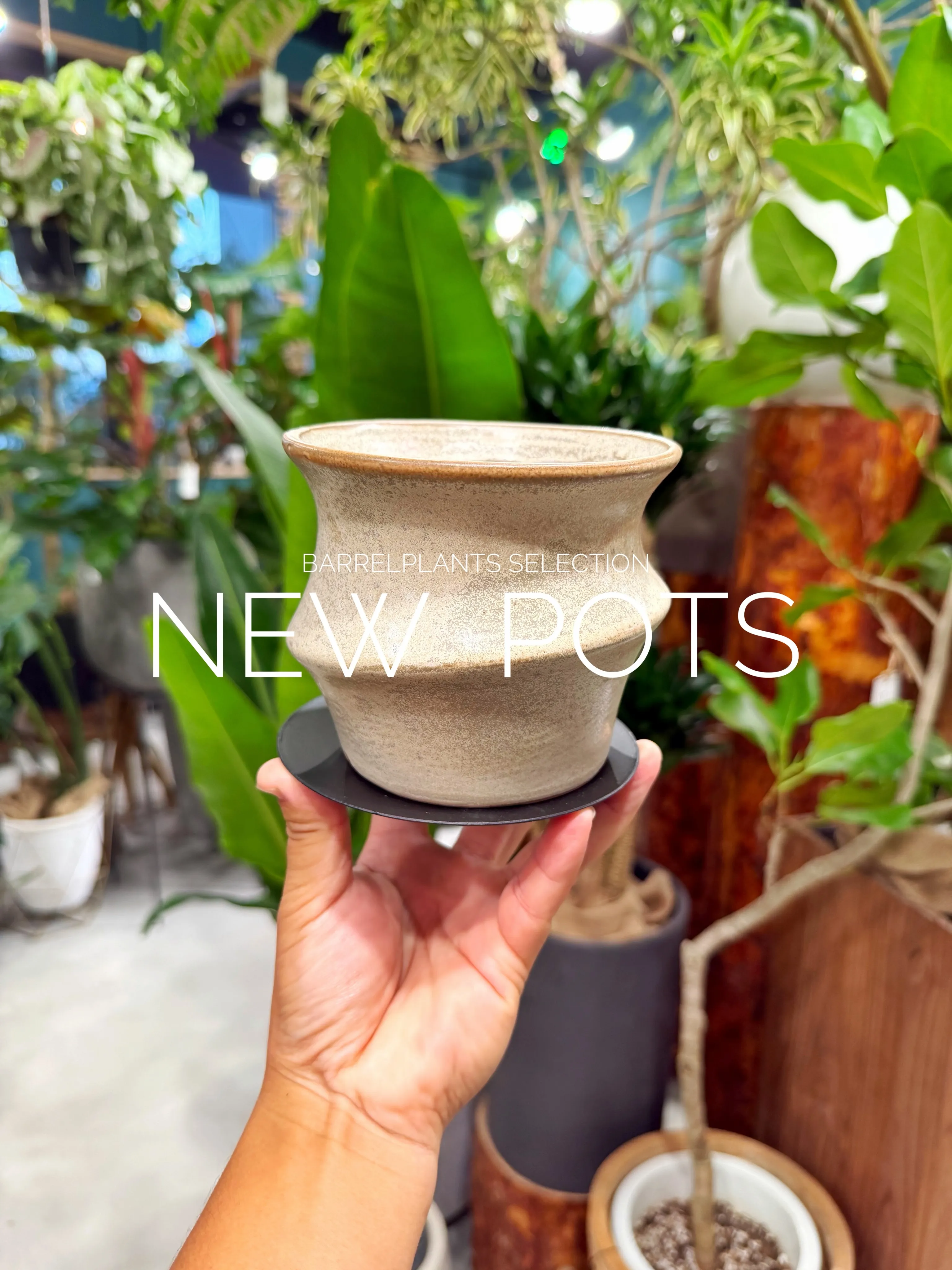 植物だけじゃ、完成しない。