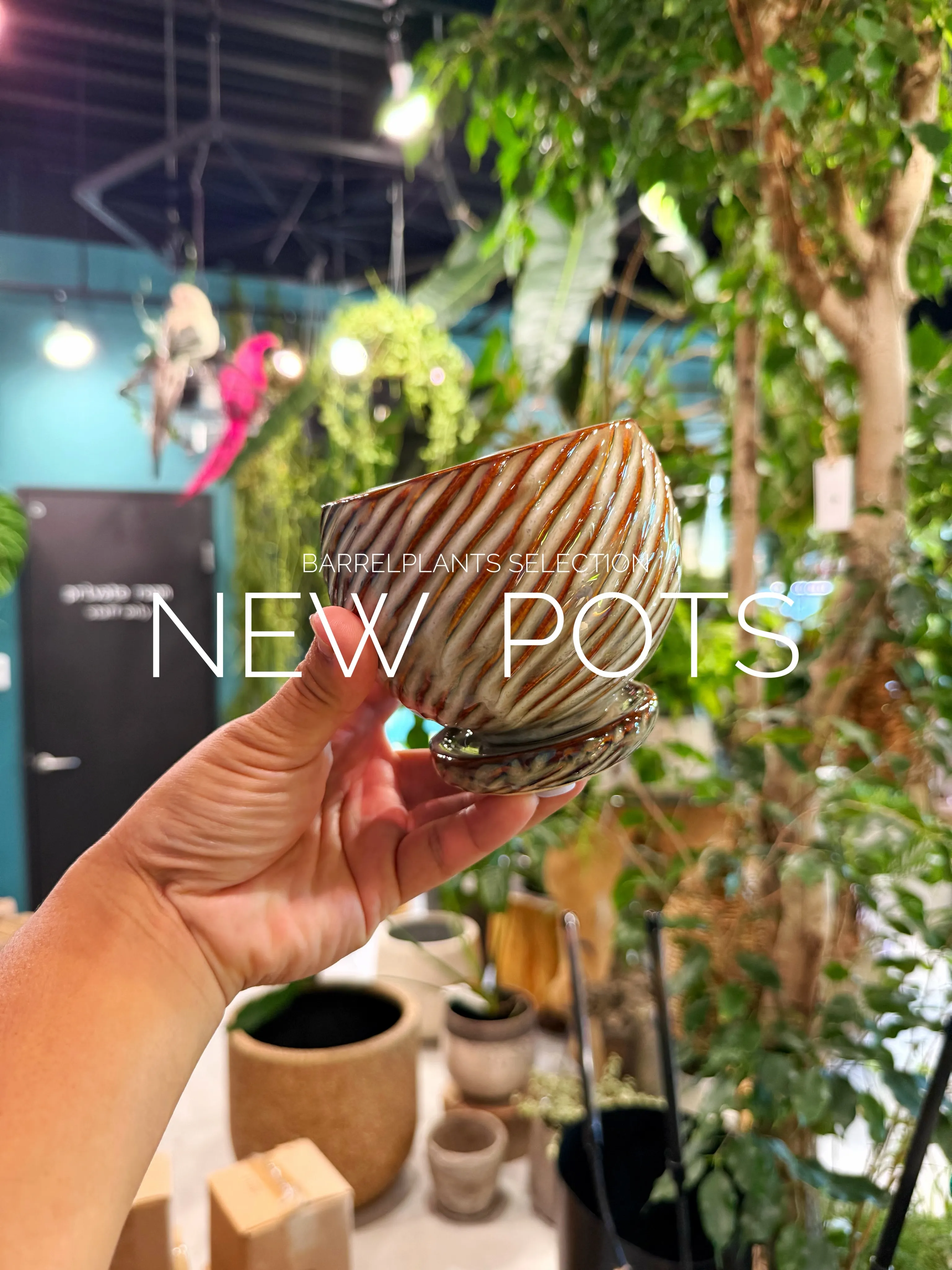 植物だけじゃ、完成しない。