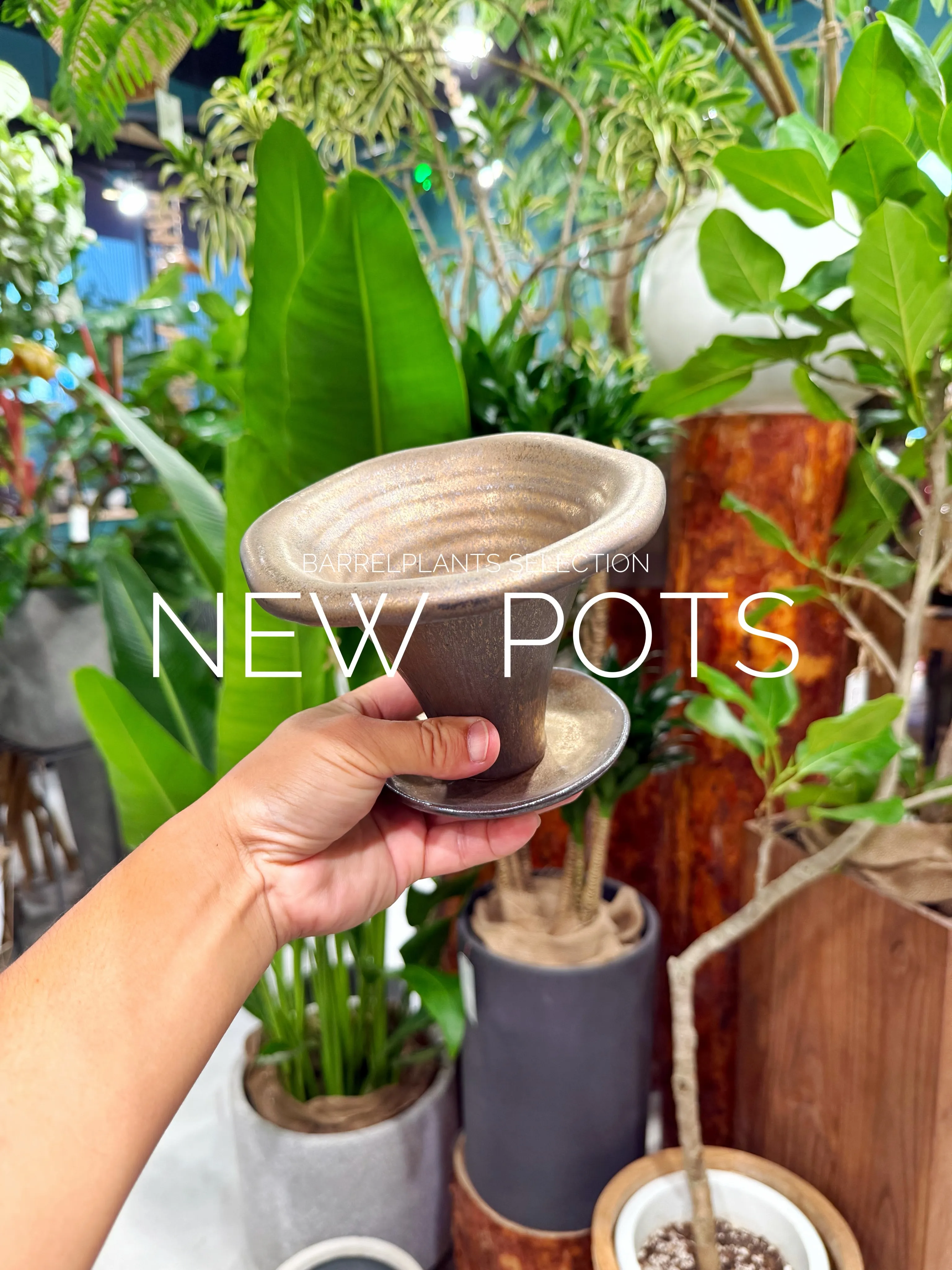 植物だけじゃ、完成しない。