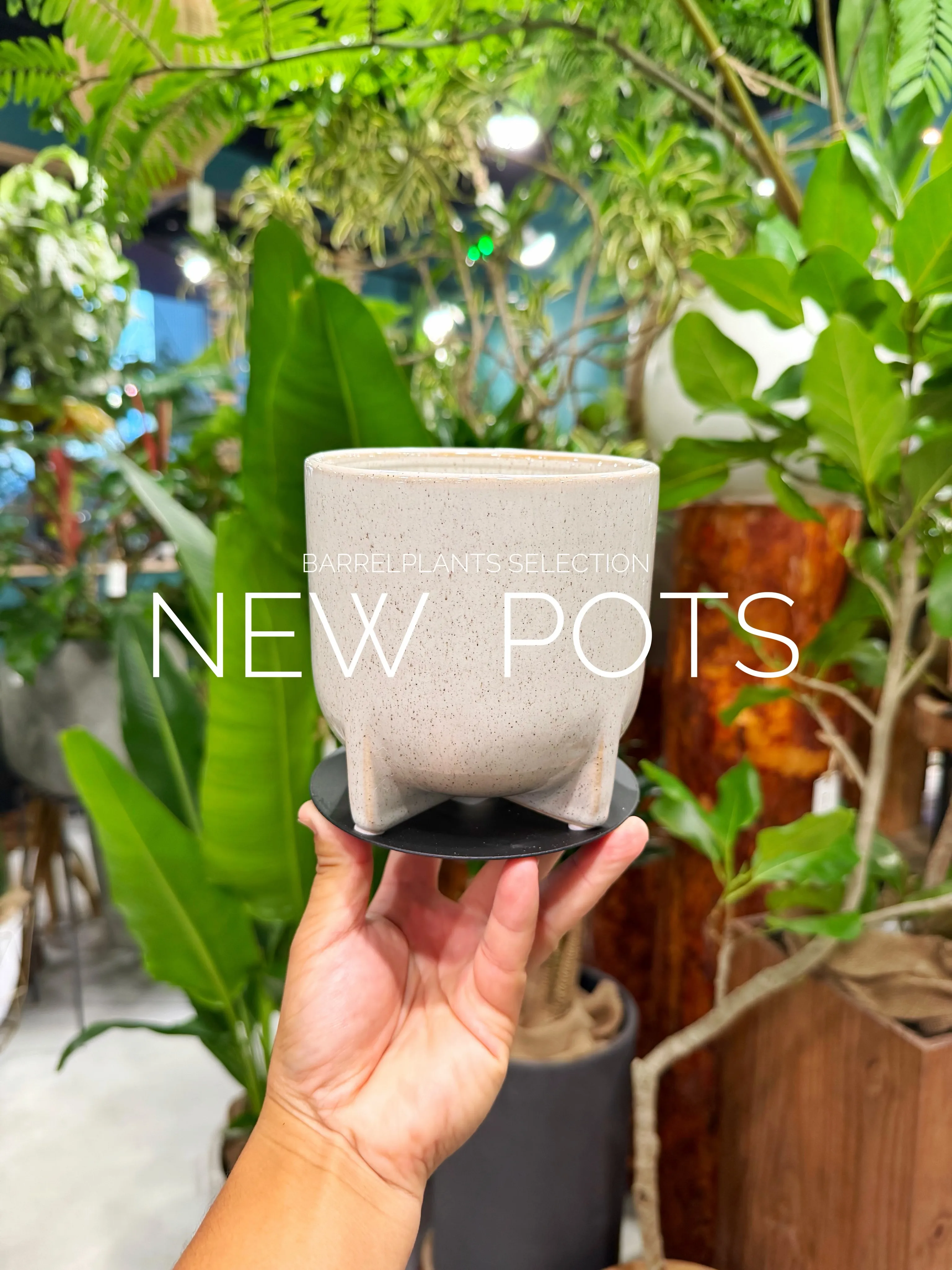 植物だけじゃ、完成しない。