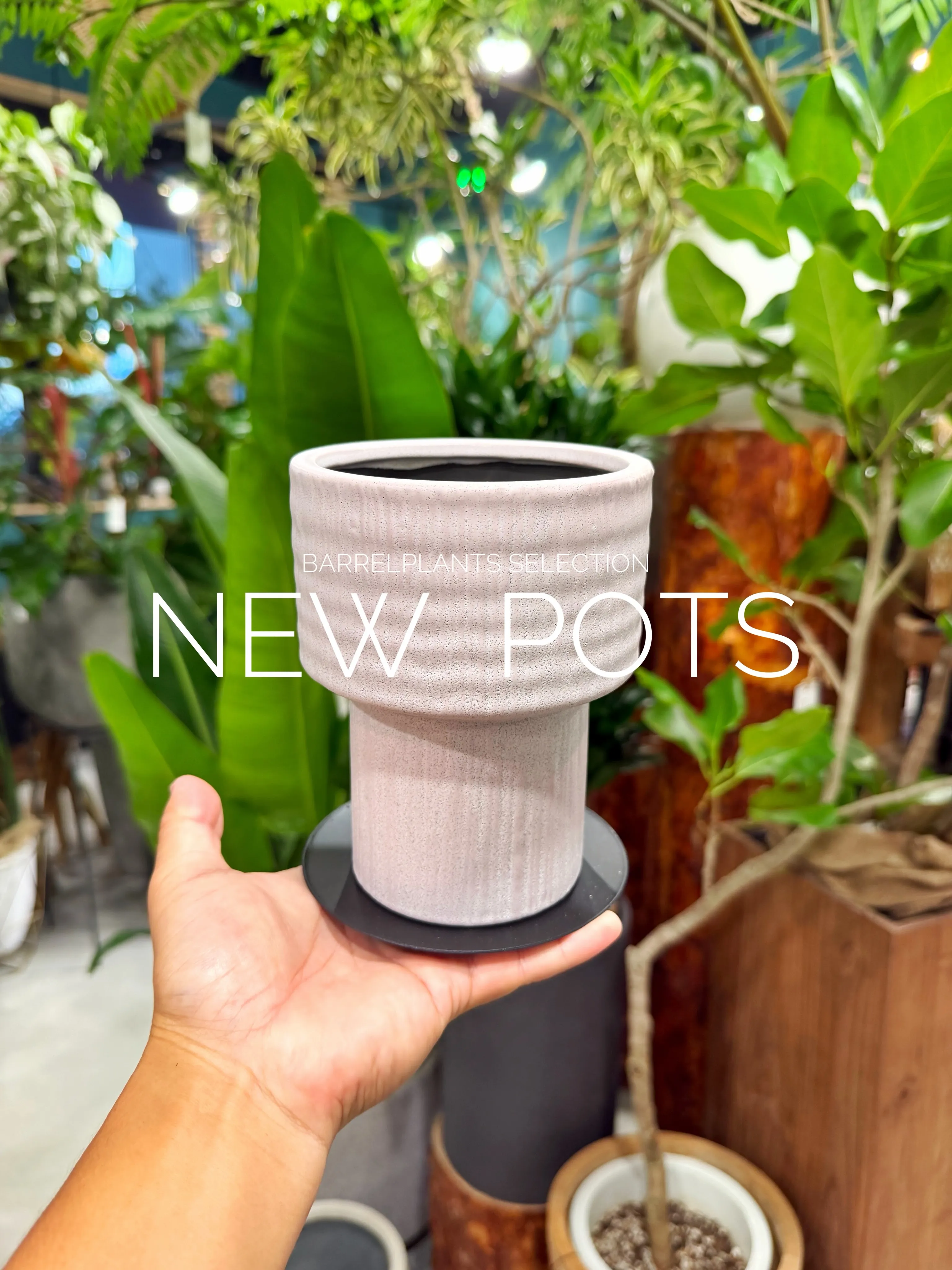 植物だけじゃ、完成しない。