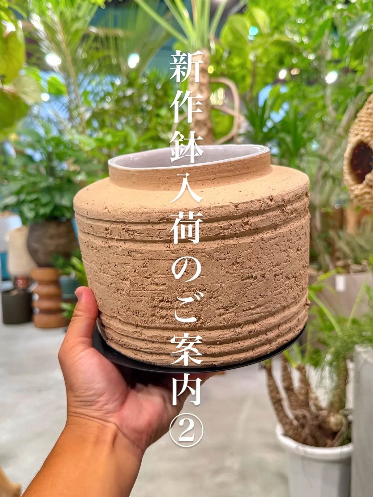 植物を選ぶように、鉢を選ぶ。